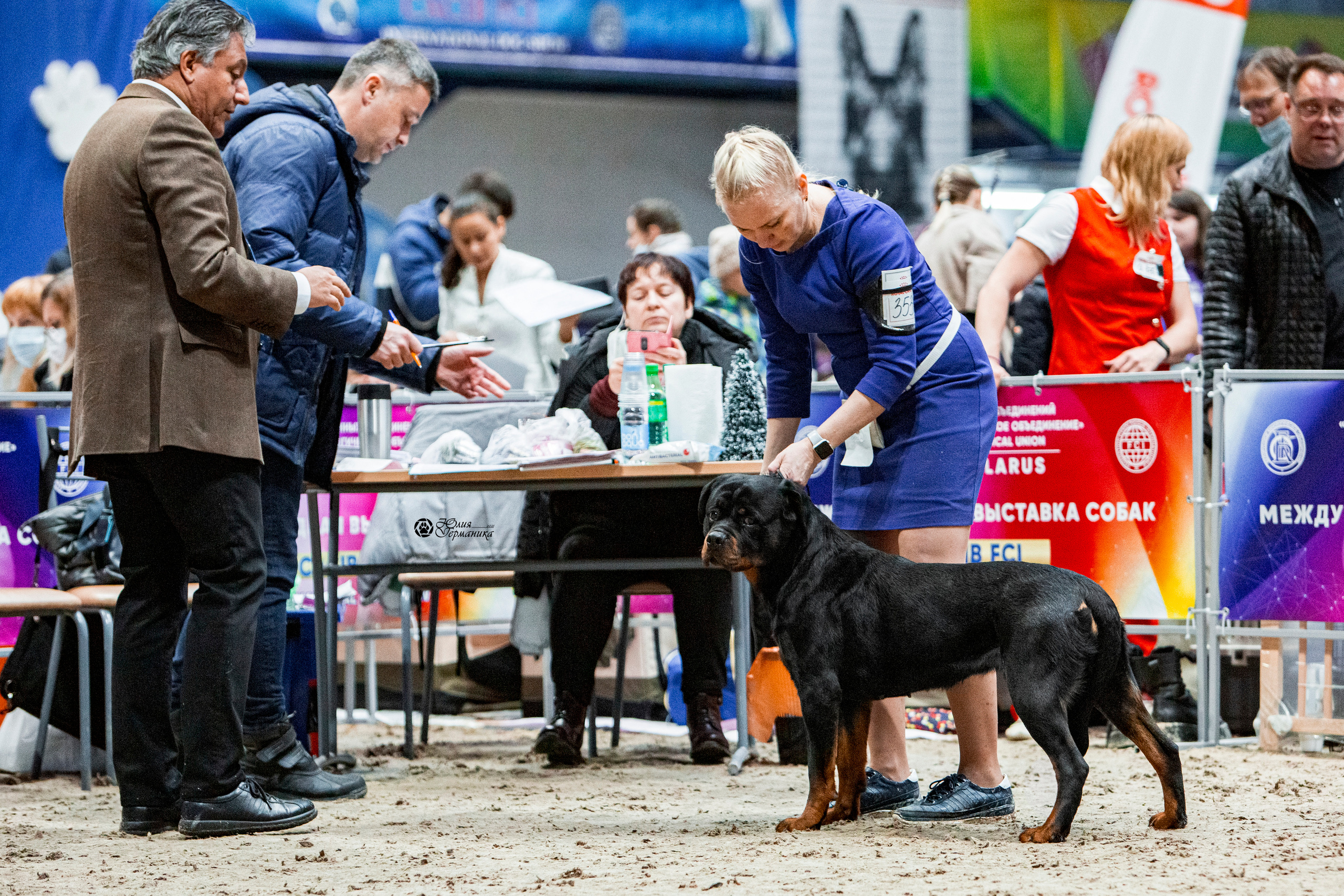 Минск 2хCACIB 27-28 ноября 2021. Фотограф-анималист Юлия Германика