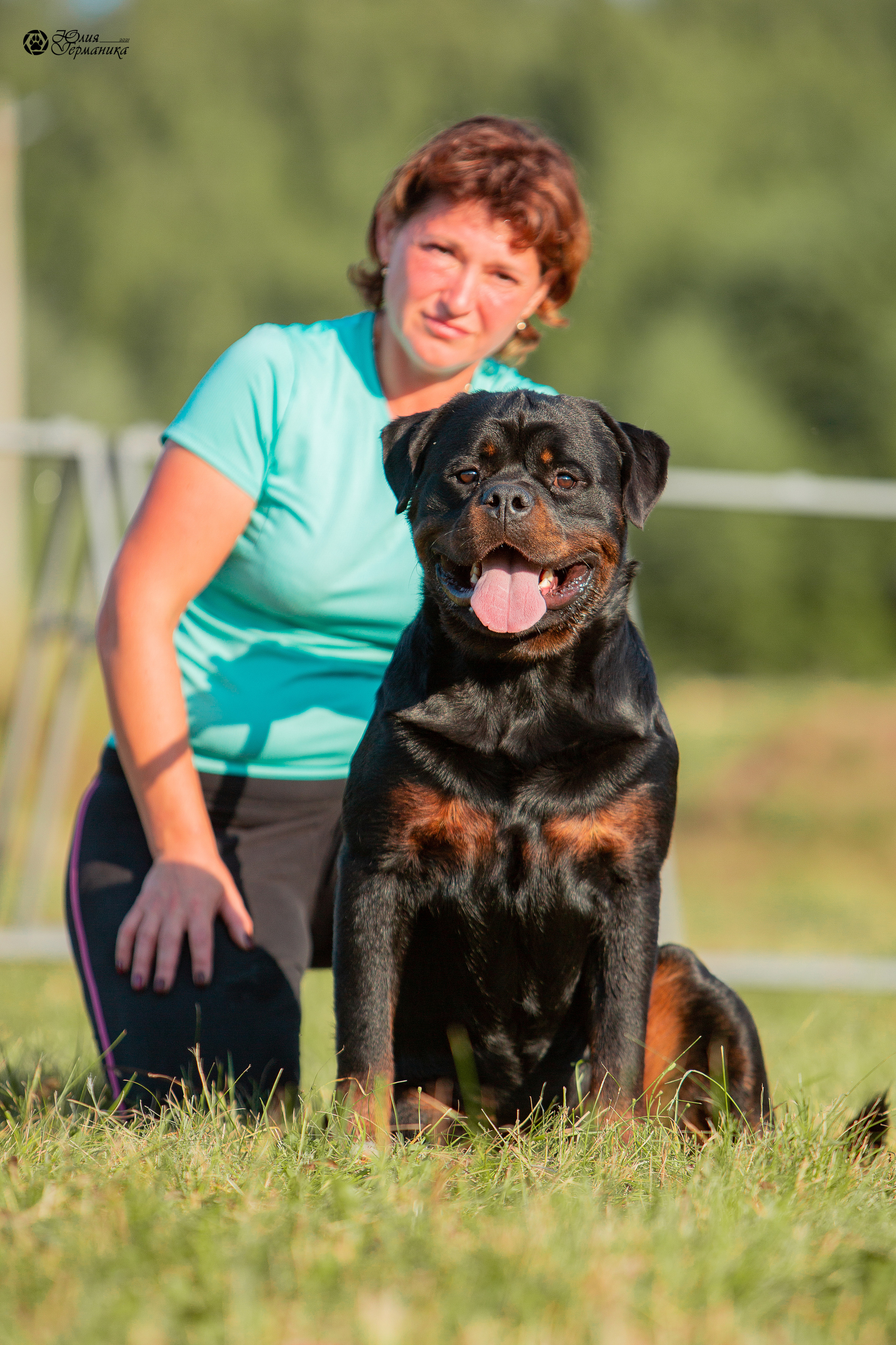 Рязань,Ховрино 14-15 августа 2021 моно ротвейлеров. Фотограф-анималист Юлия Германика