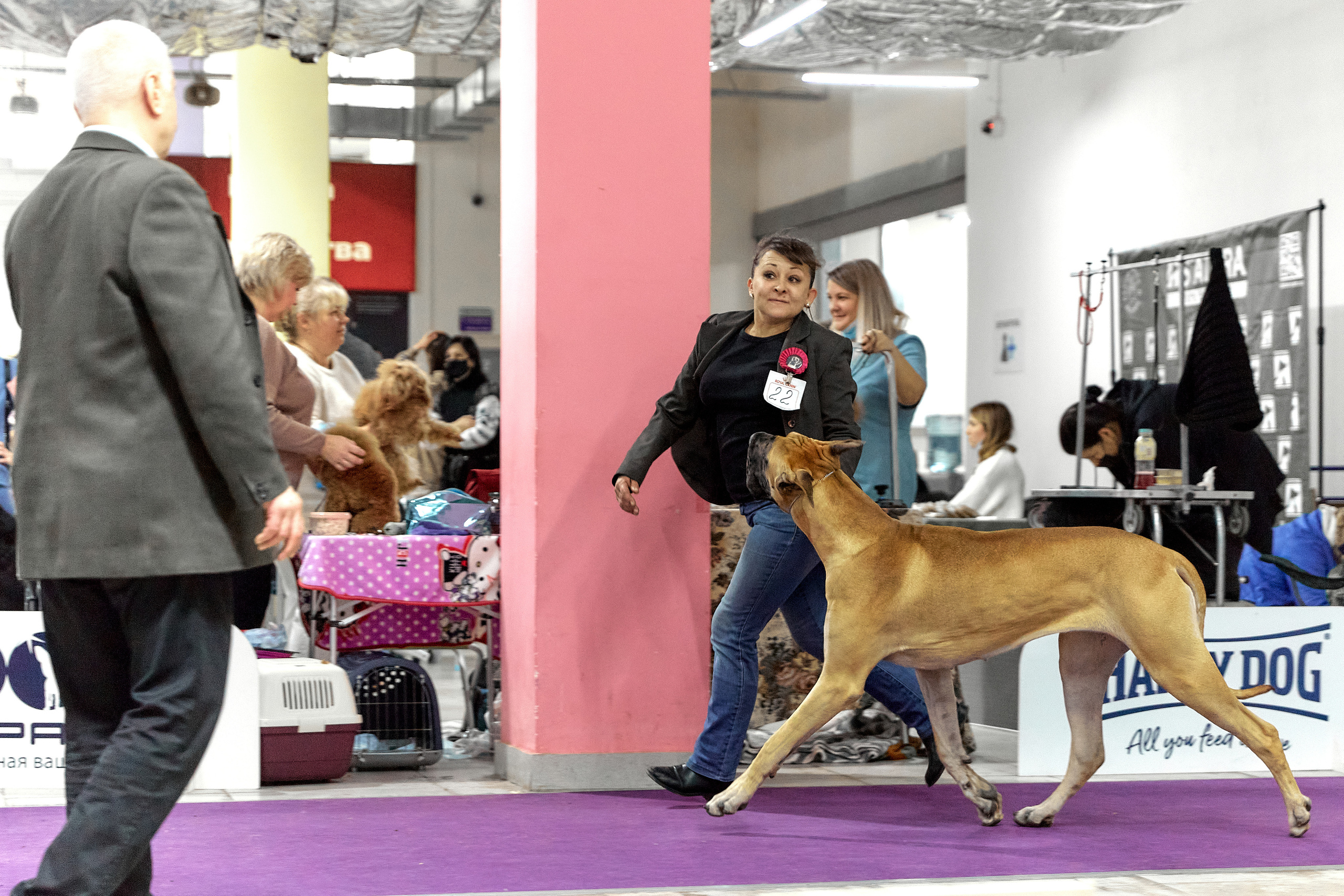 Чайник  13-14 ноября 2021. Фотограф-анималист Юлия Германика