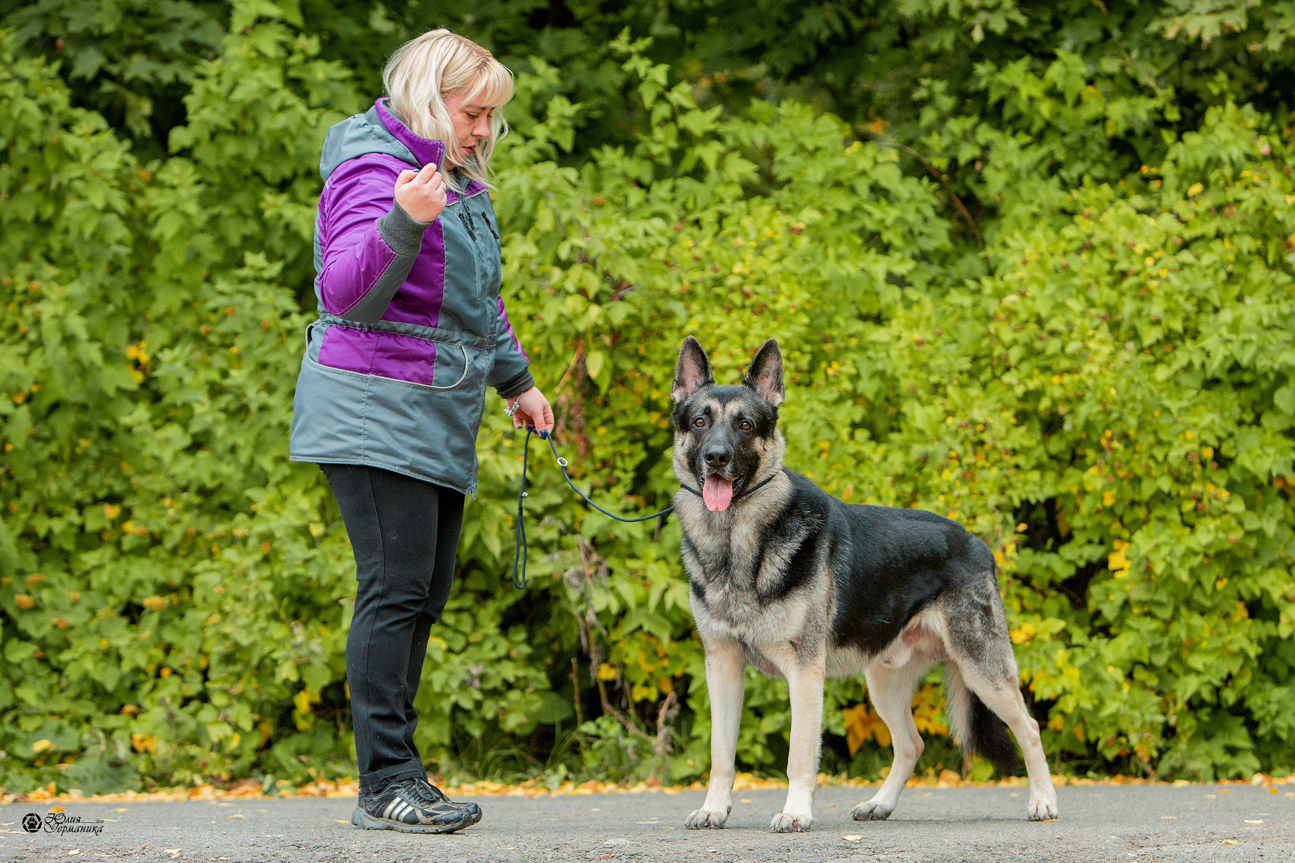 Свободная съемка. Фотограф-анималист Юлия Германика