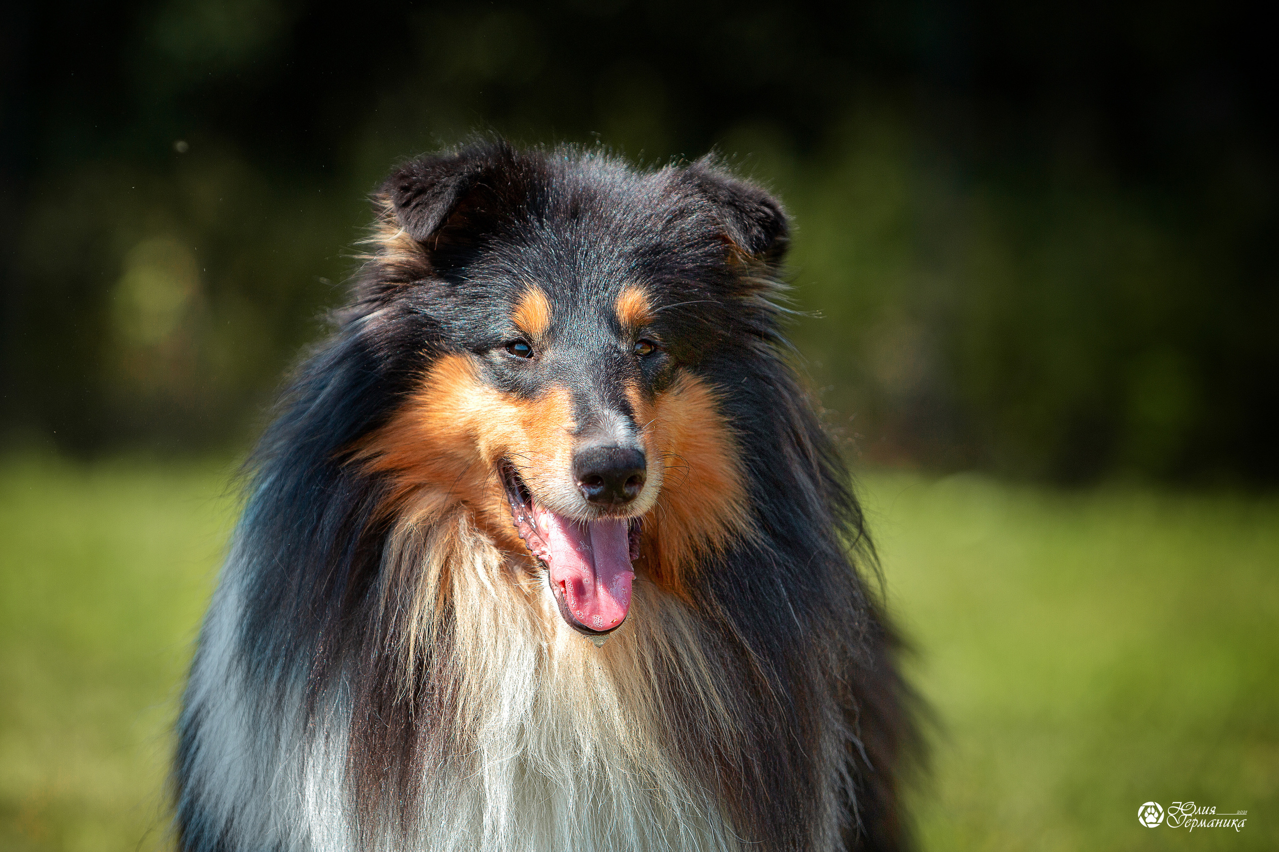 Свободная съемка. Фотограф-анималист Юлия Германика