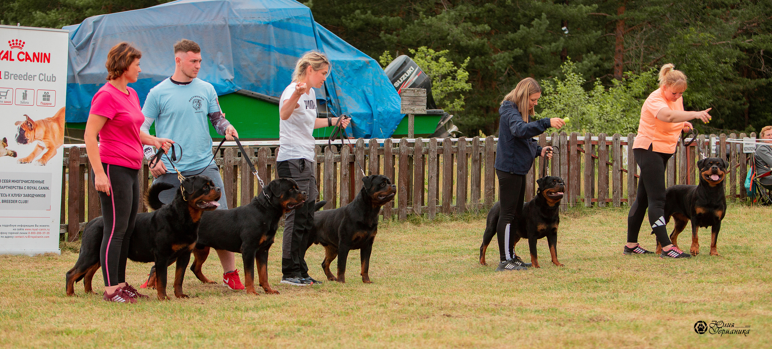 Тверь моно ротвейлеров 3-4 июля 2021. Фотограф-анималист Юлия Германика