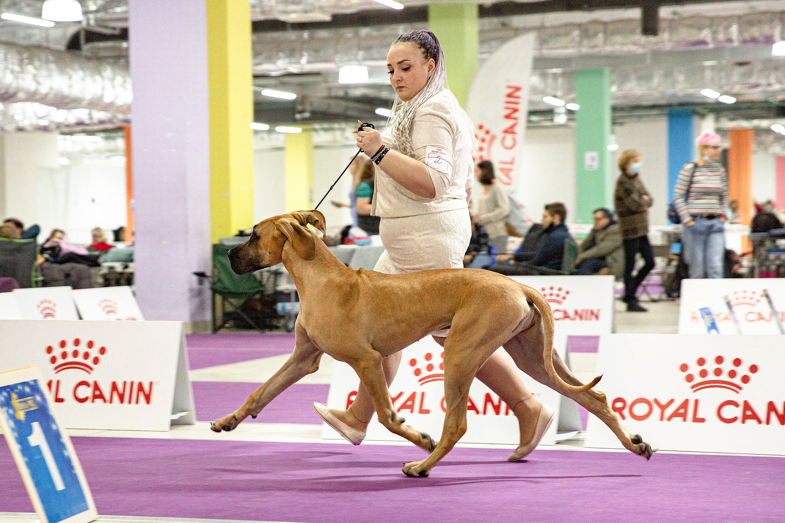 Чайник  13-14 ноября 2021. Фотограф-анималист Юлия Германика