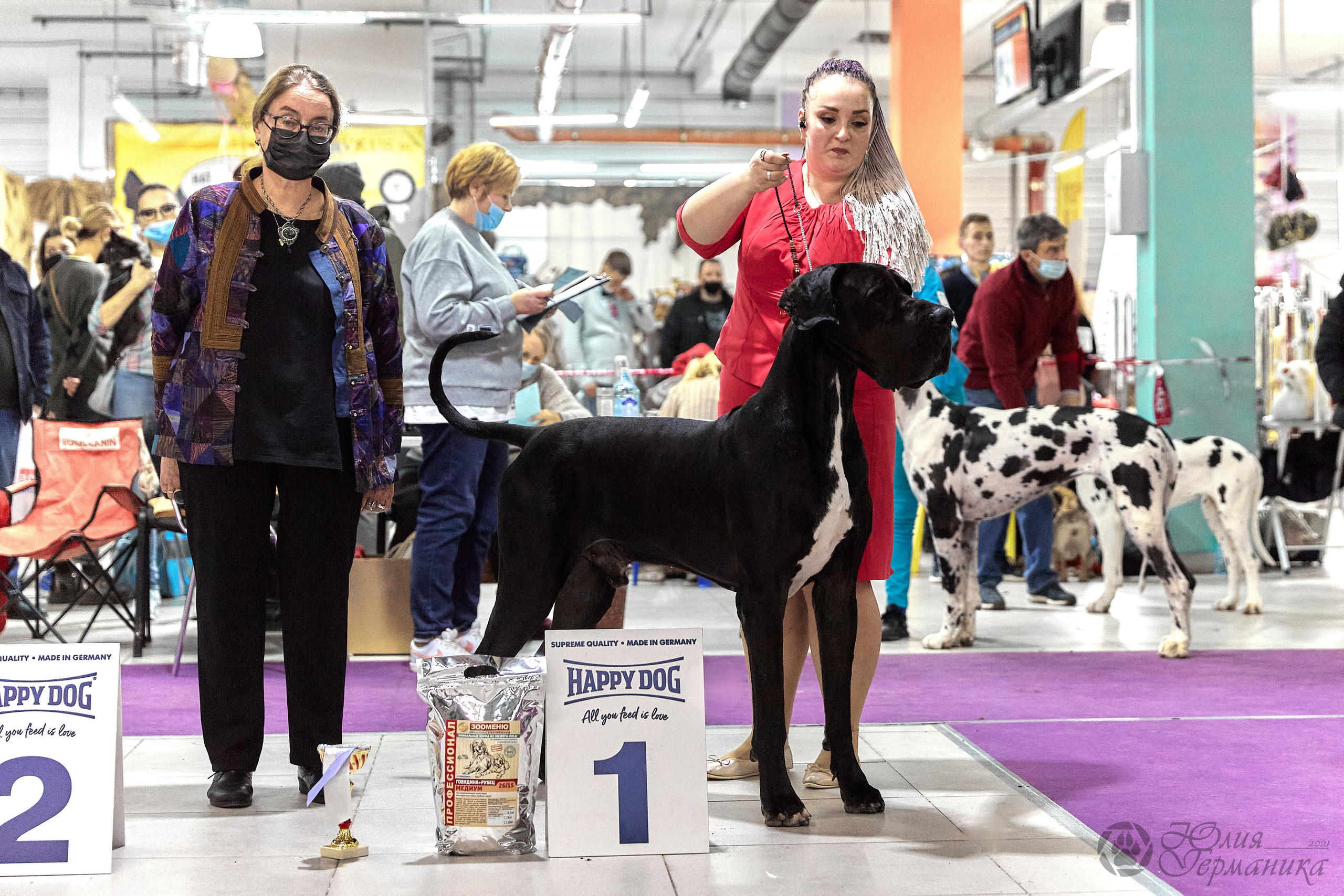 Чайник  13-14 ноября 2021. Фотограф-анималист Юлия Германика