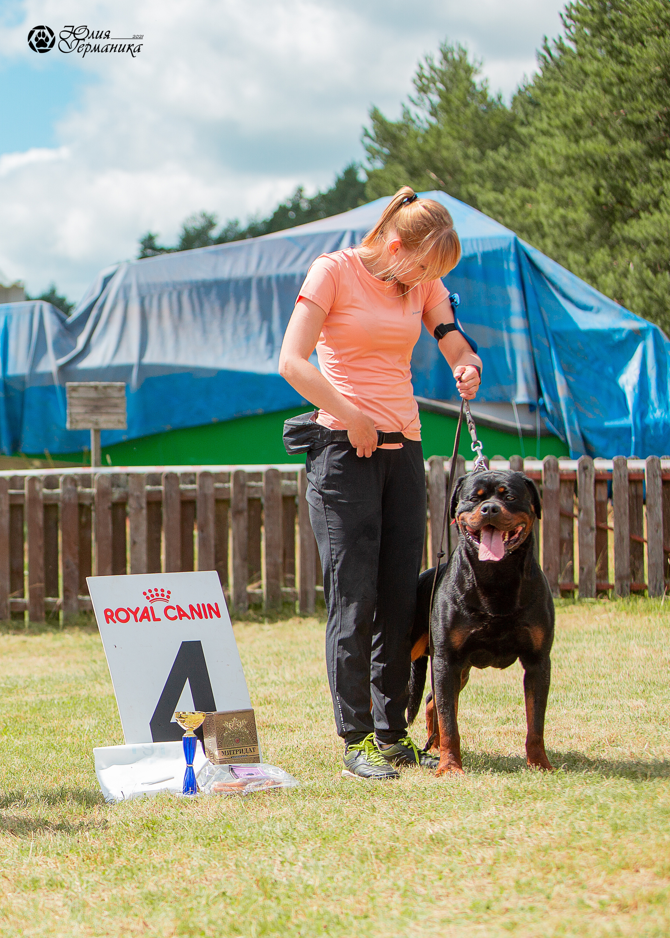 Тверь моно ротвейлеров 3-4 июля 2021. Фотограф-анималист Юлия Германика