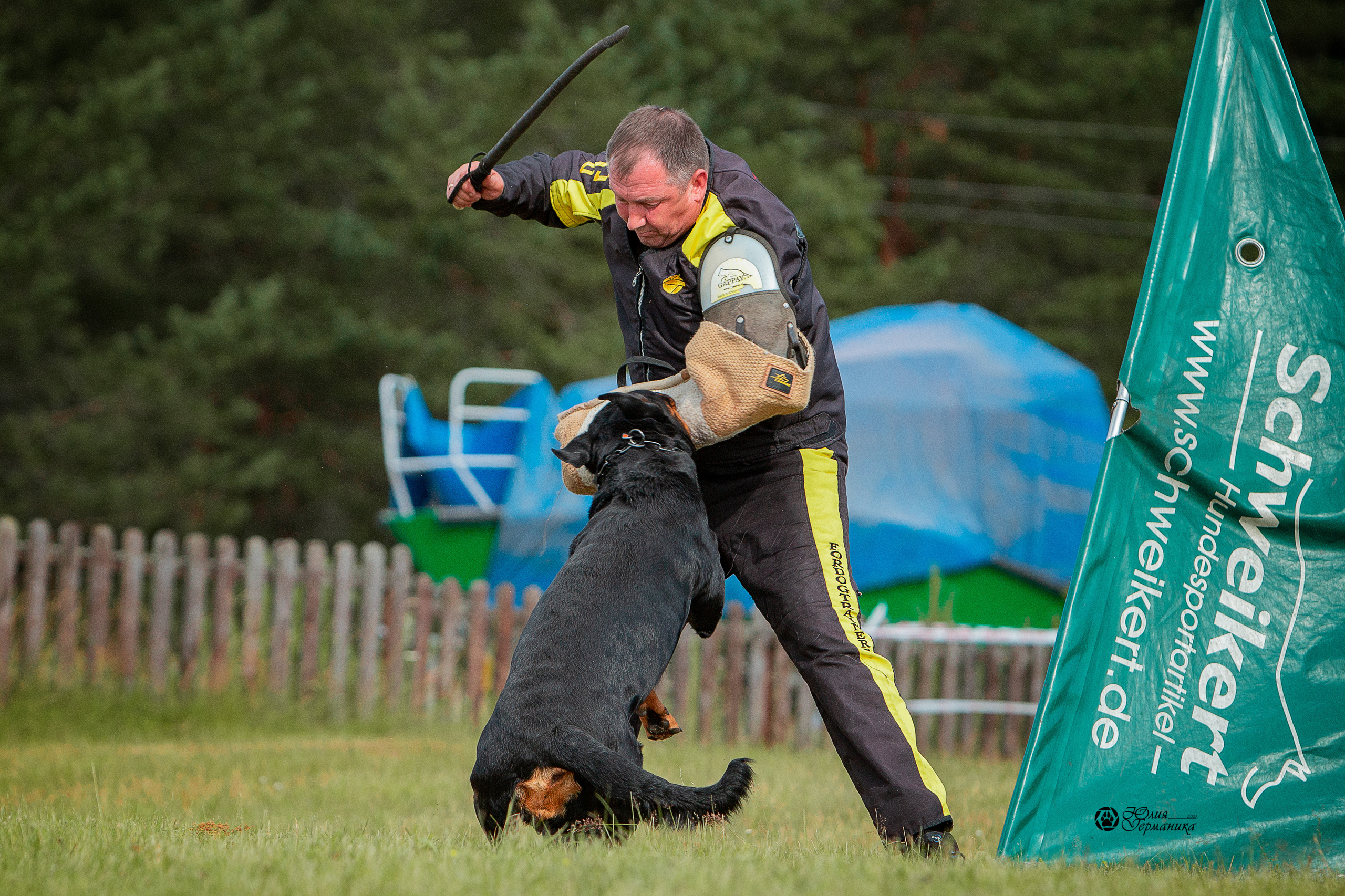 Тверь моно ротвейлеров 3-4 июля 2021. Фотограф-анималист Юлия Германика