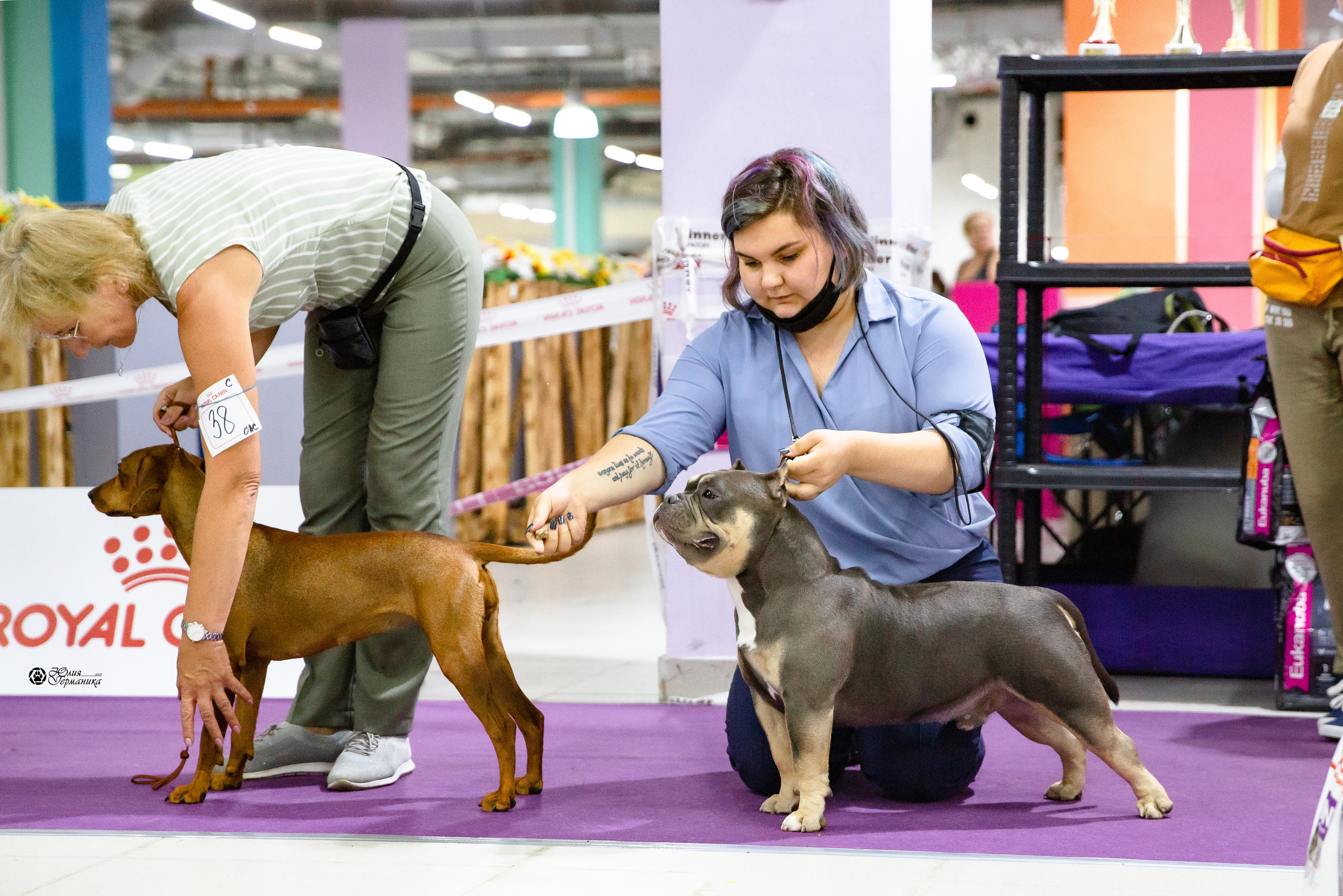 Чайна-Таун 2021. Фотограф-анималист Юлия Германика