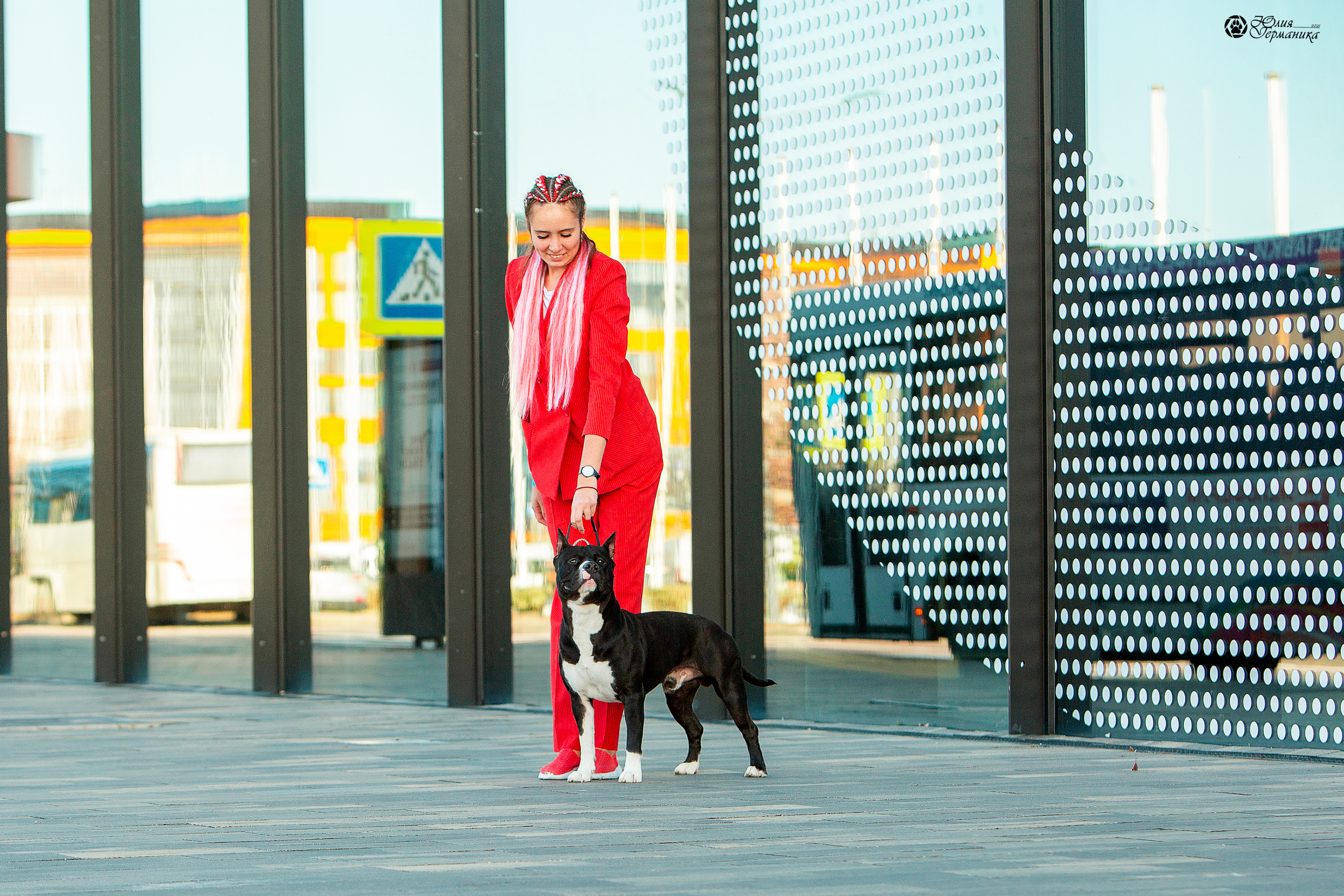 Питер 4 CACIB 22-25 октября 2021. Фотограф-анималист Юлия Германика