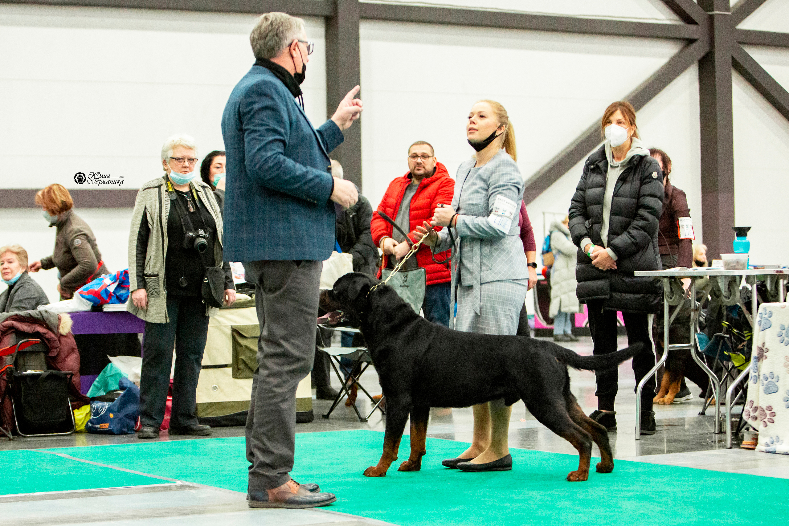 Санкт-Петербург 3хCACIB 10-12 декабря 2021. Фотограф-анималист Юлия Германика