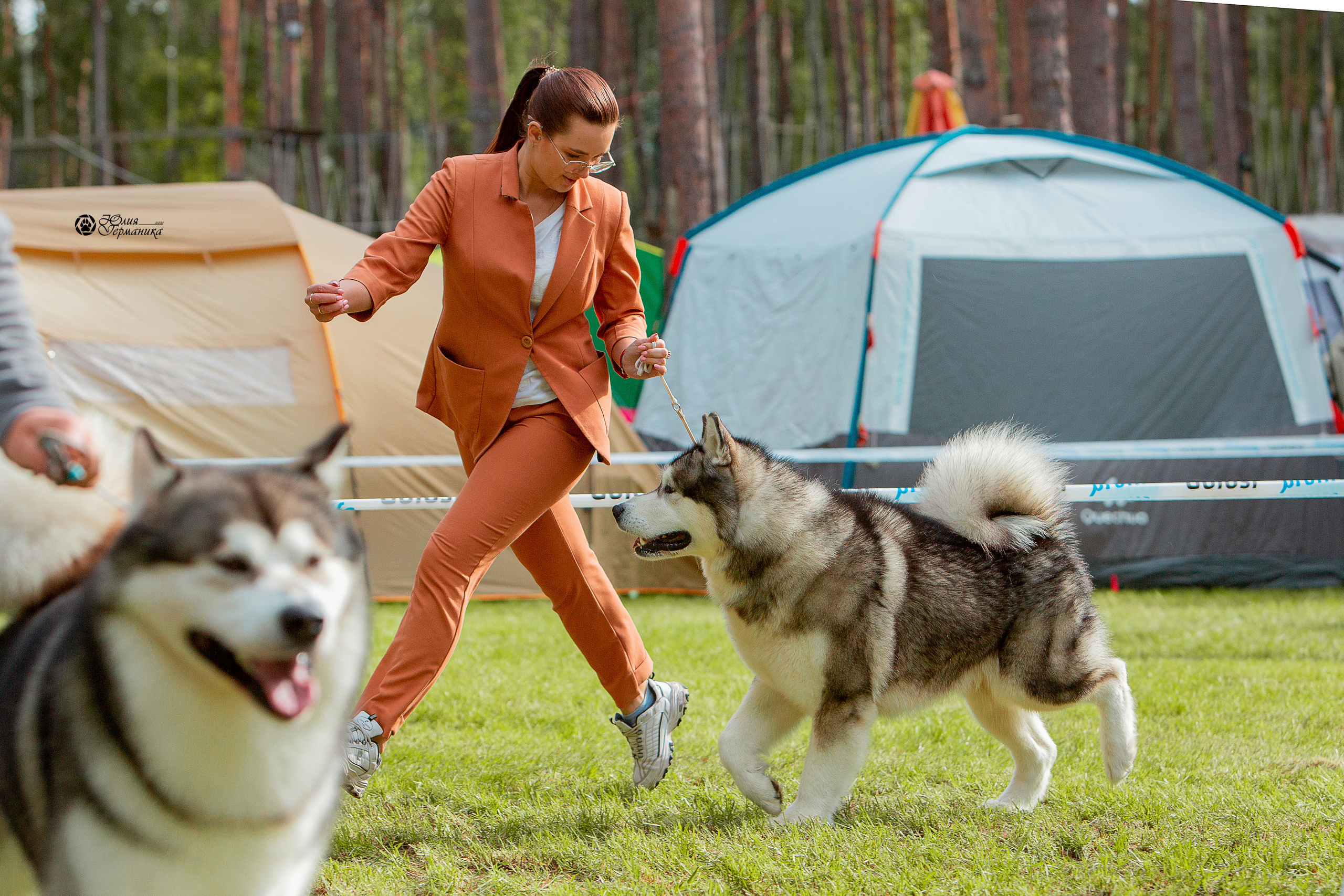 Псков 2xСАСIB 18-19 сентября 2021. Фотограф-анималист Юлия Германика