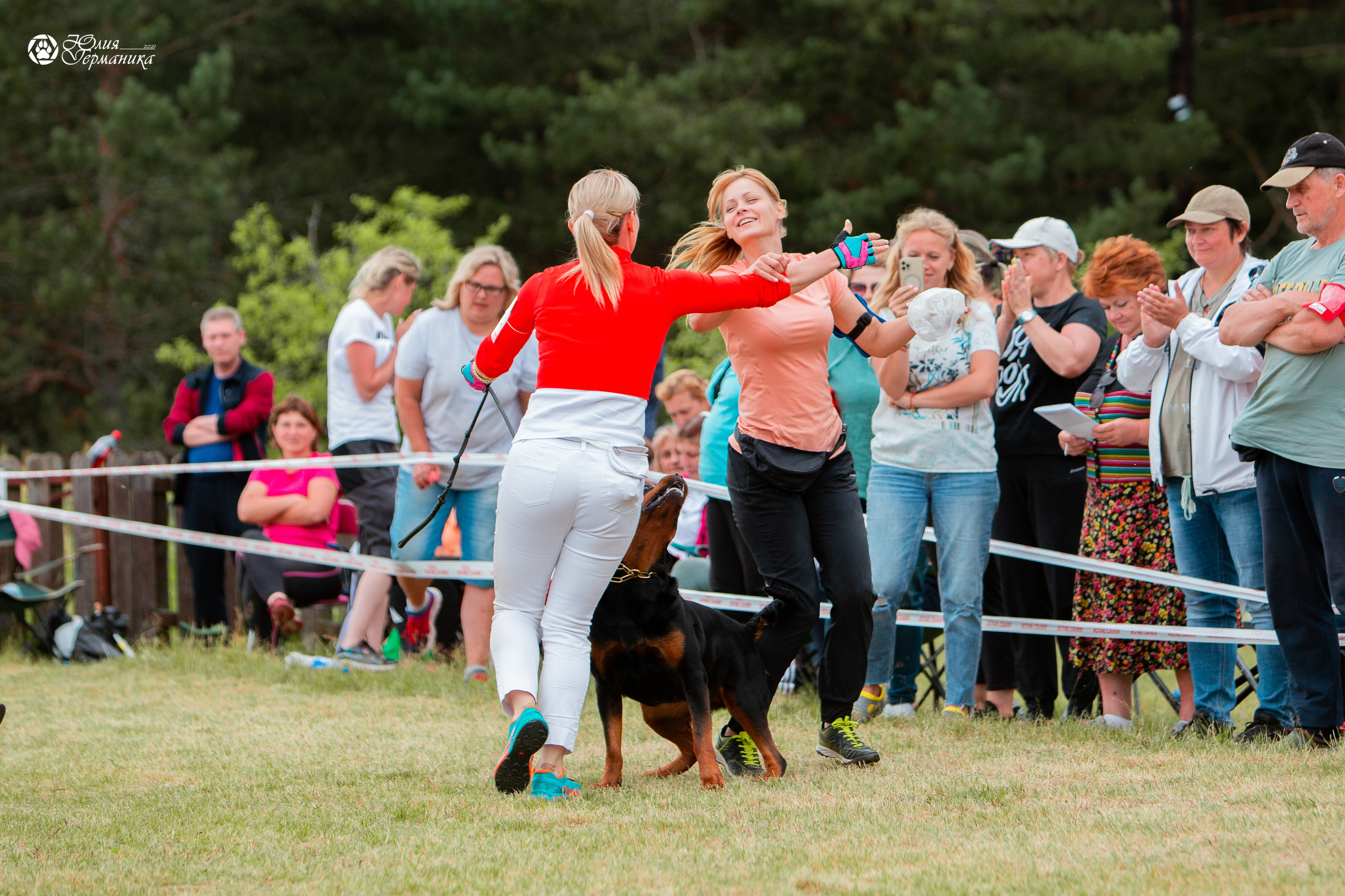 Тверь моно ротвейлеров 3-4 июля 2021. Фотограф-анималист Юлия Германика