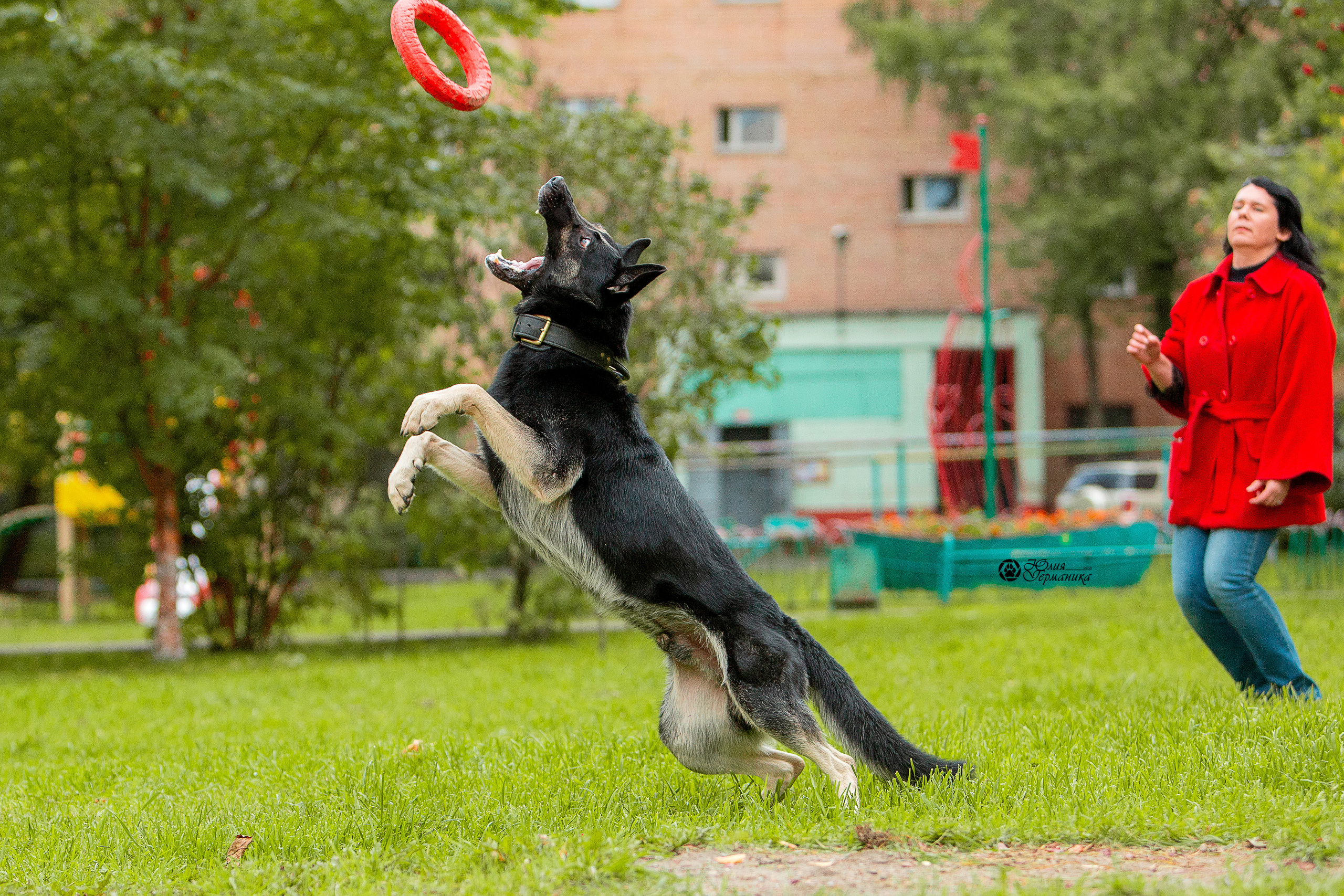 Свободная съемка. Фотограф-анималист Юлия Германика