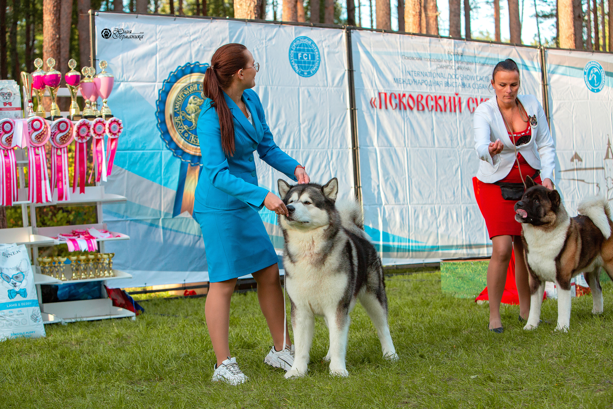 Псков 2xСАСIB 18-19 сентября 2021. Фотограф-анималист Юлия Германика