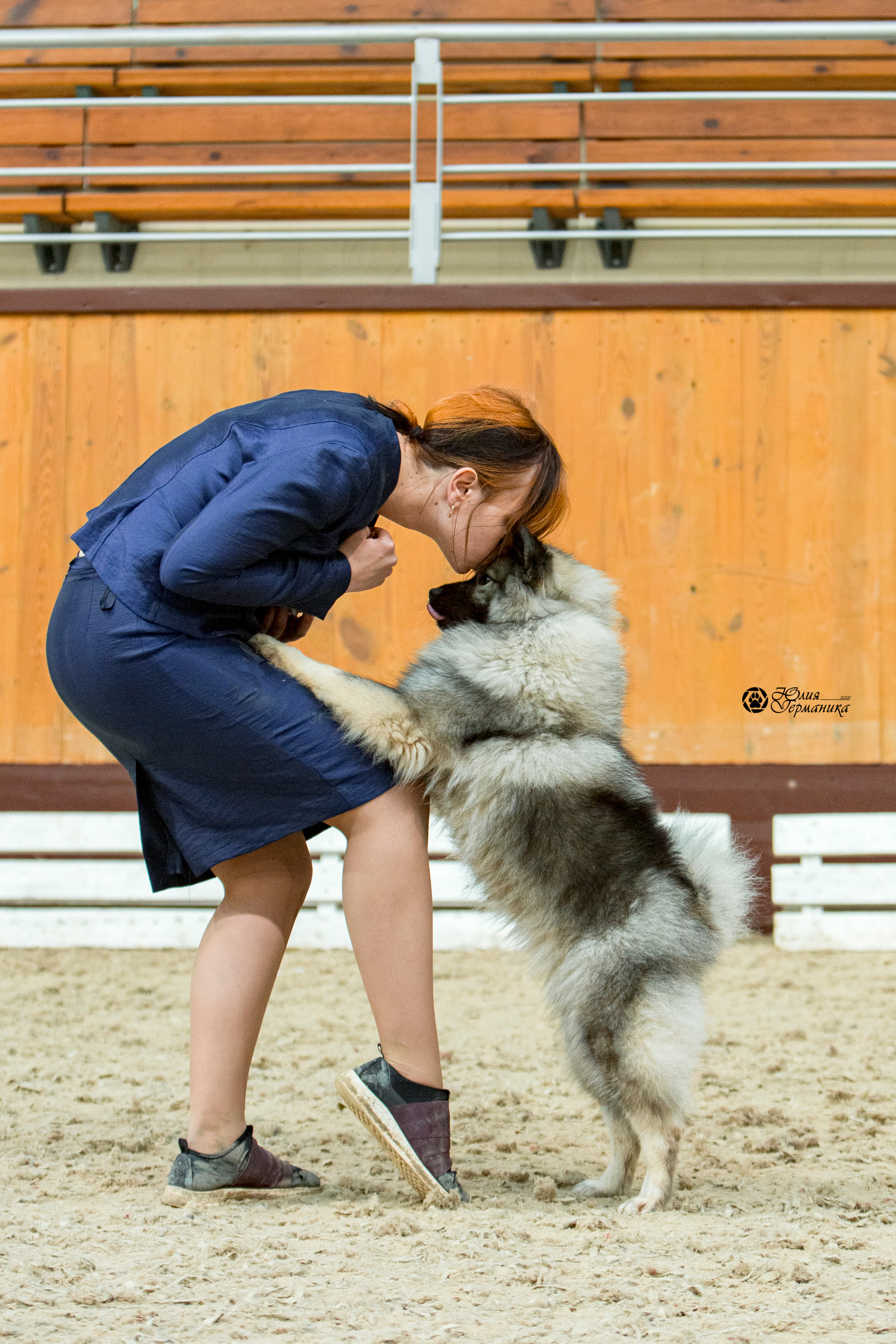 Минск 2хCACIB 27-28 ноября 2021. Фотограф-анималист Юлия Германика