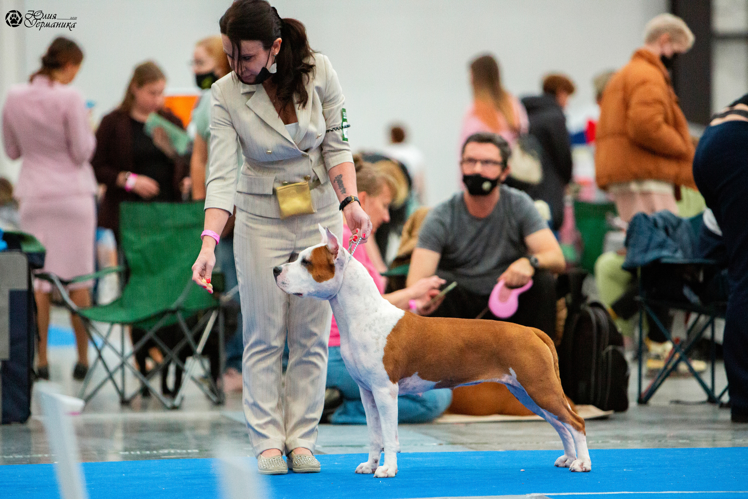 Питер 4 CACIB 22-25 октября 2021. Фотограф-анималист Юлия Германика