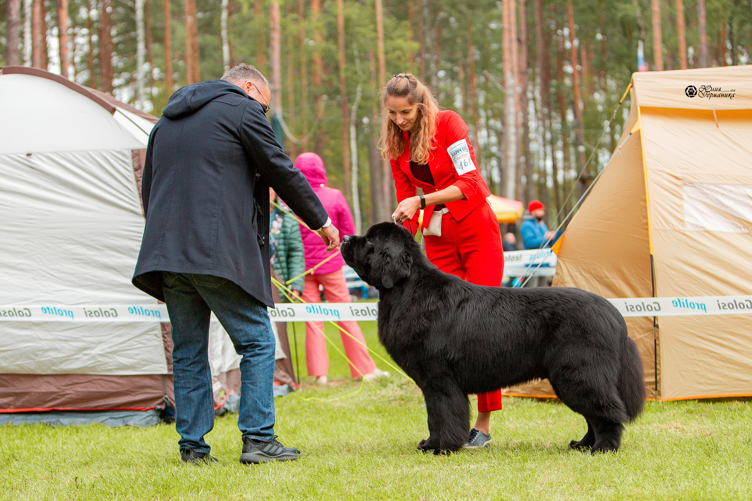 Псков 2xСАСIB 18-19 сентября 2021. Фотограф-анималист Юлия Германика