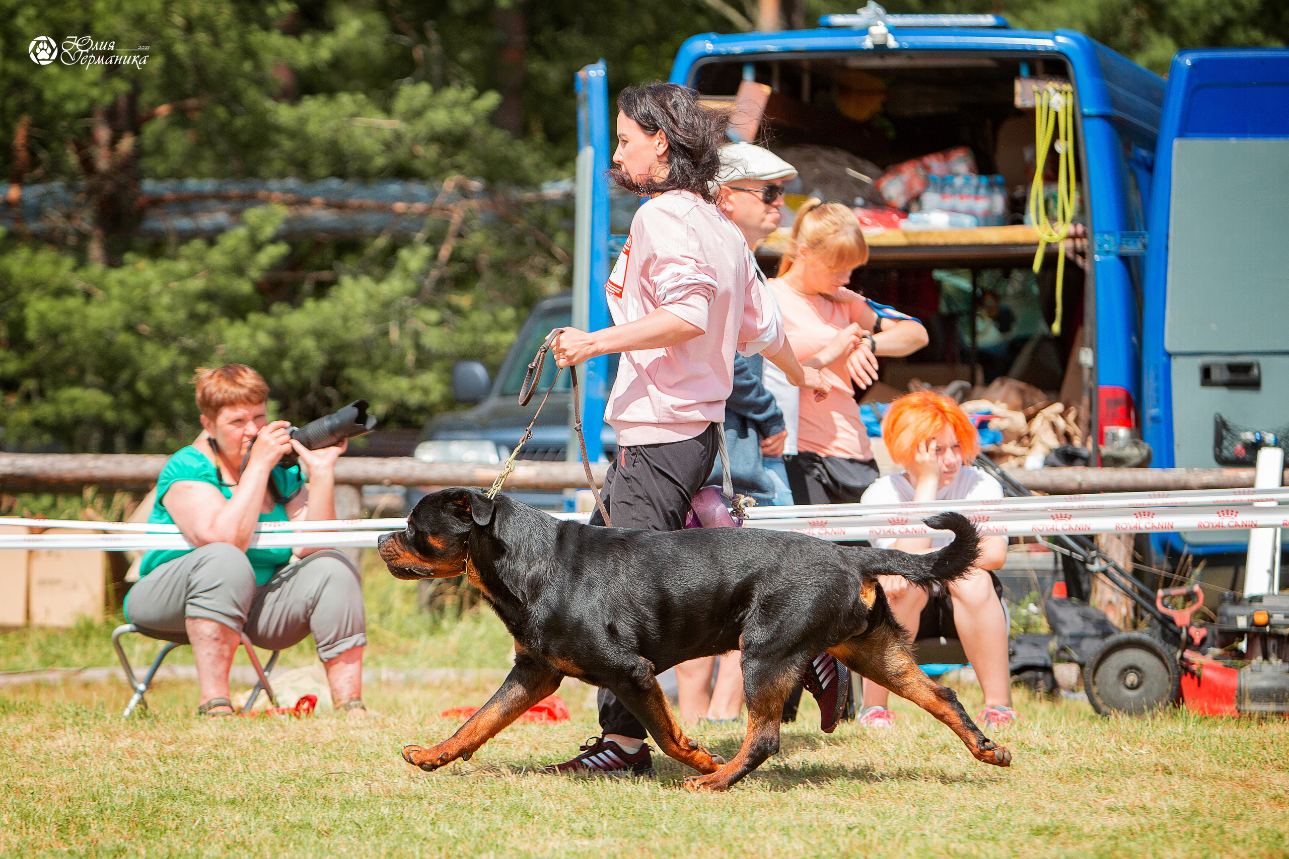 Тверь моно ротвейлеров 3-4 июля 2021. Фотограф-анималист Юлия Германика