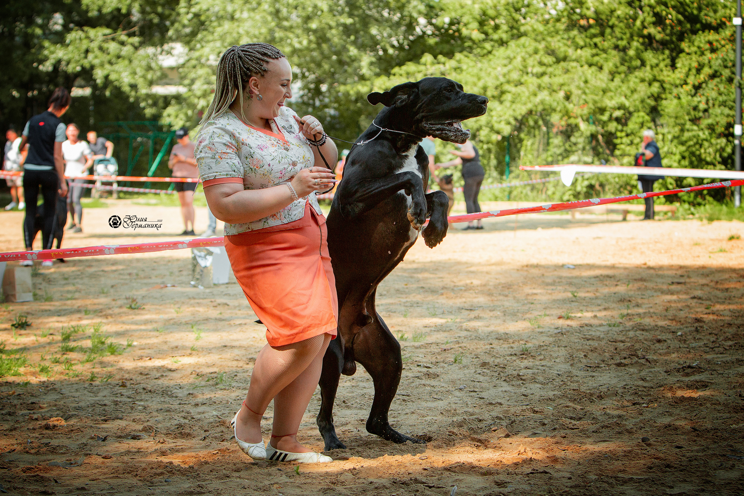 Ховрино фестиваль монопородок 15 августа 2021. Фотограф-анималист Юлия Германика