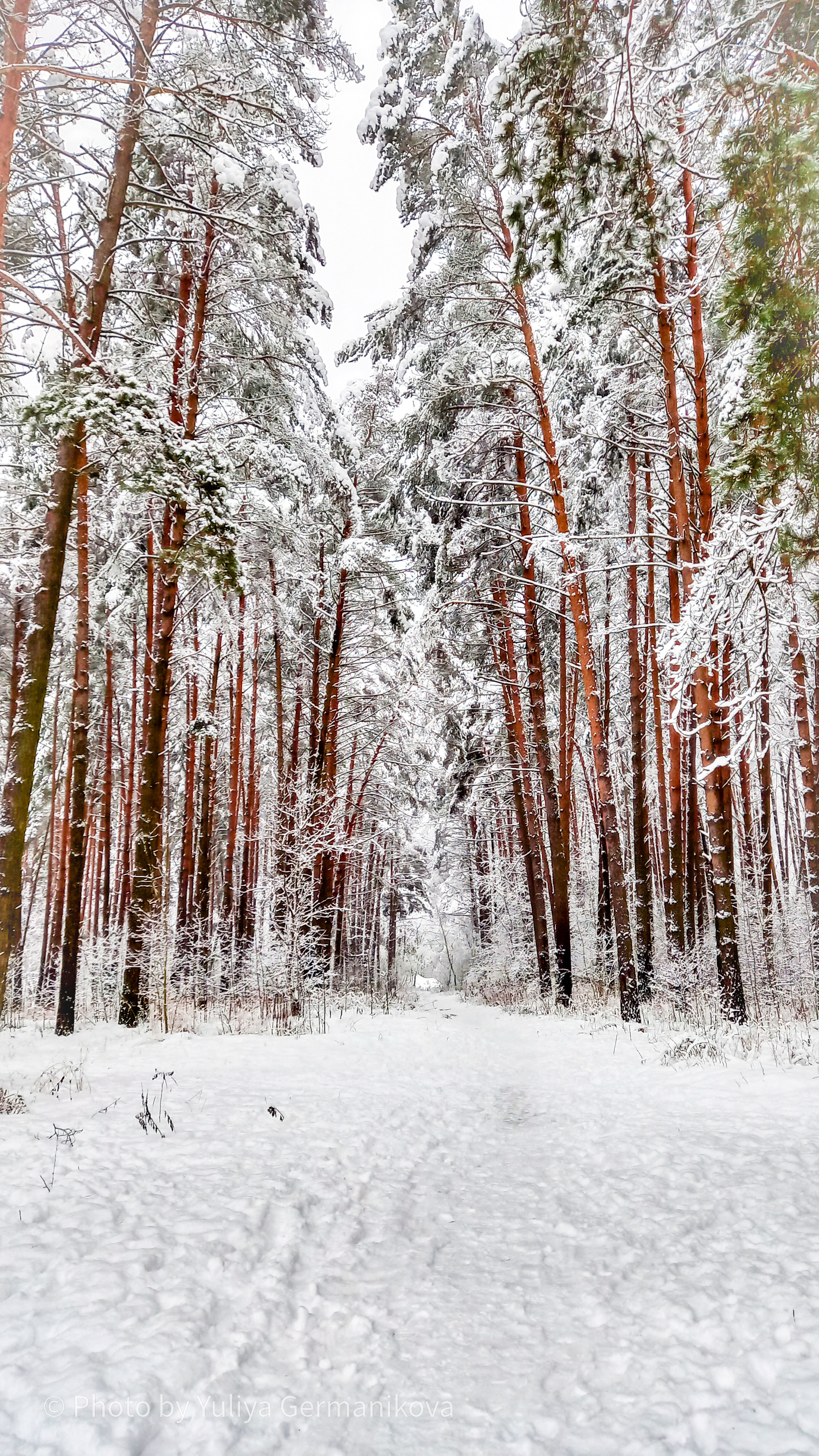 Разные фото на телефон.Города,природа. Фотограф-анималист Юлия Германика