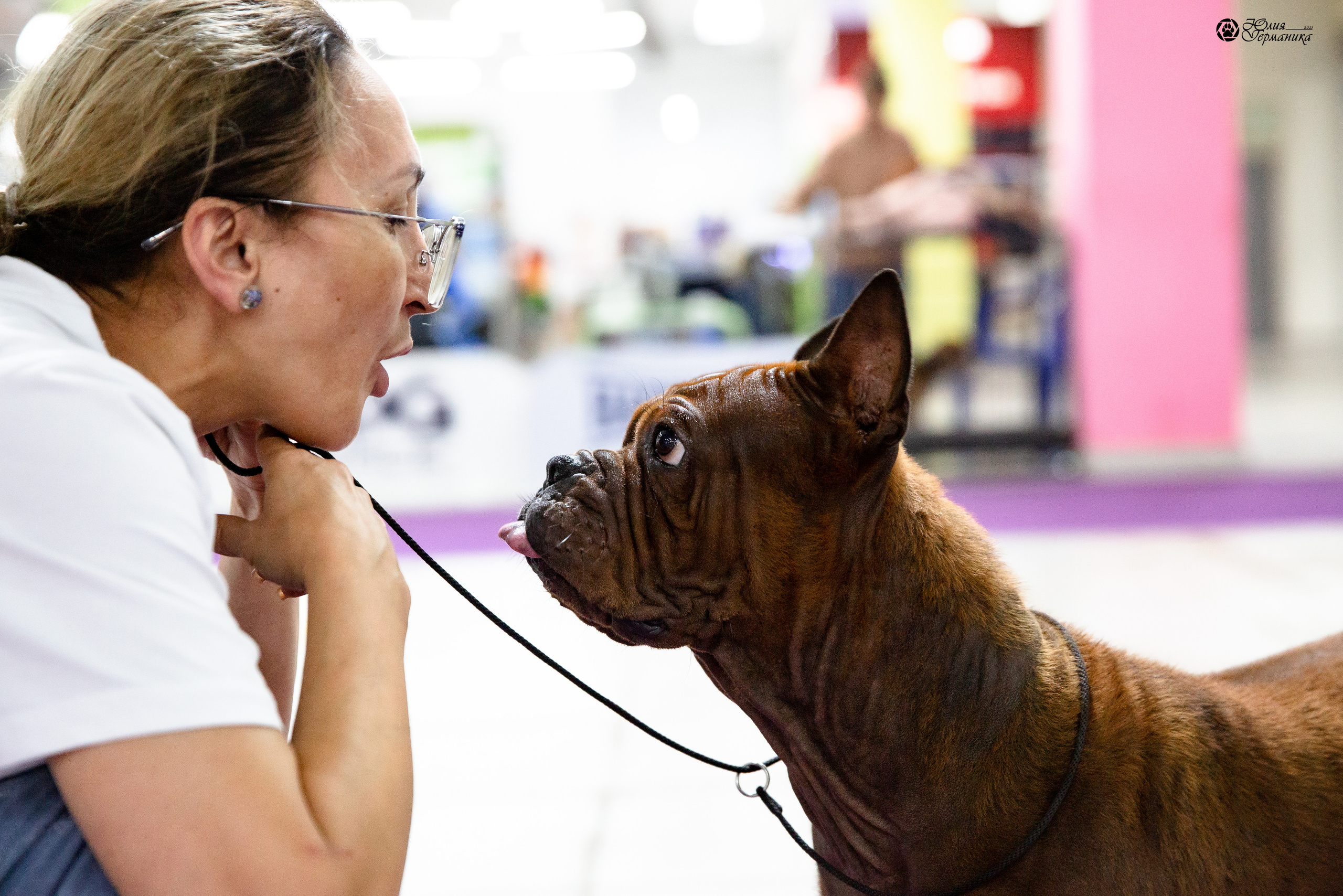 Чайна-Таун 2021. Фотограф-анималист Юлия Германика