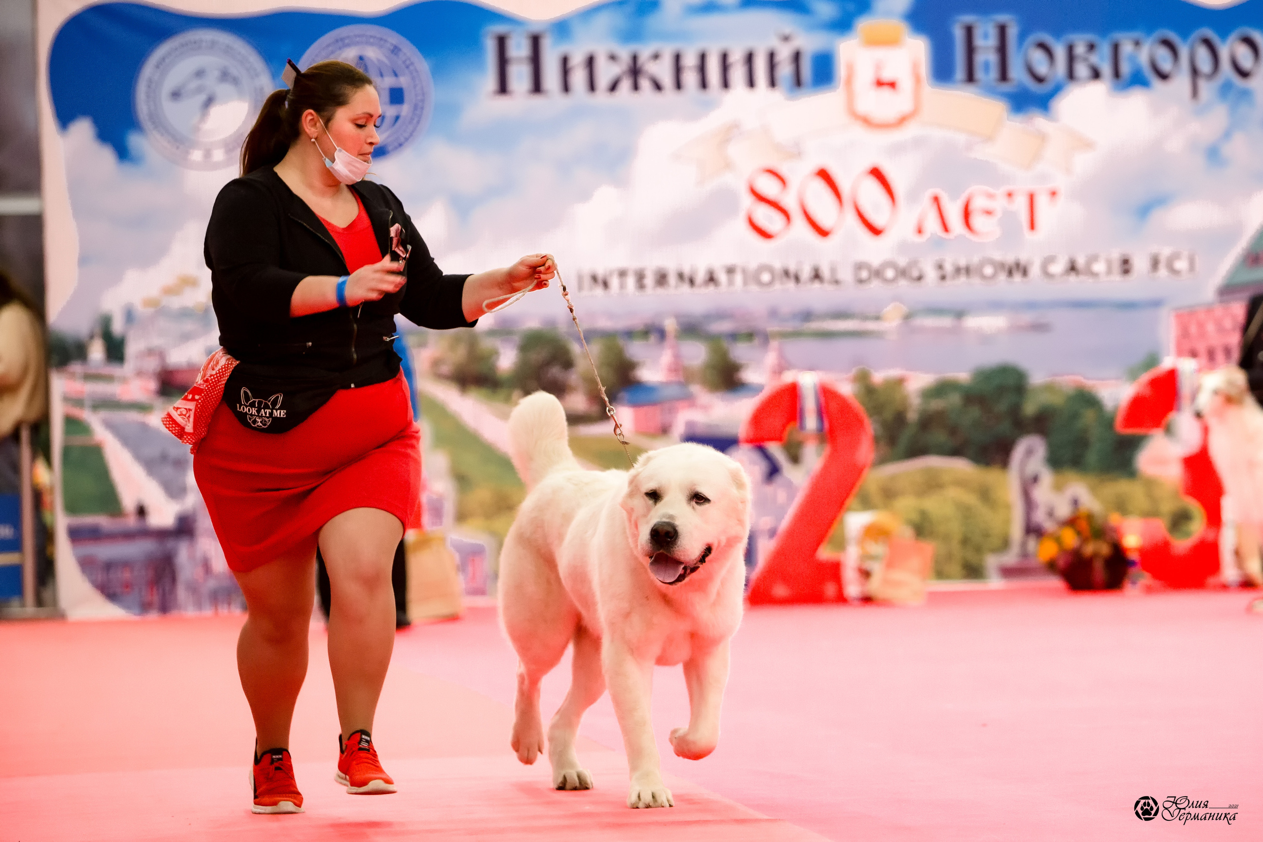 Нижний Новгород 3хCACIB 15-17 октября 2021. Фотограф-анималист Юлия Германика