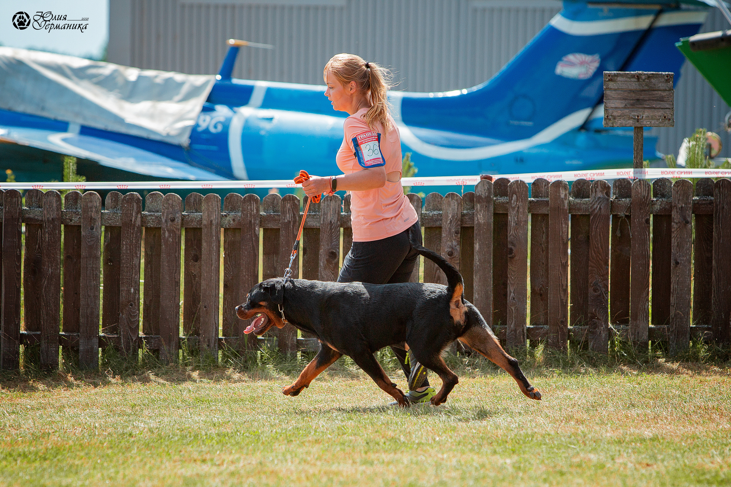 Тверь моно ротвейлеров 3-4 июля 2021. Фотограф-анималист Юлия Германика