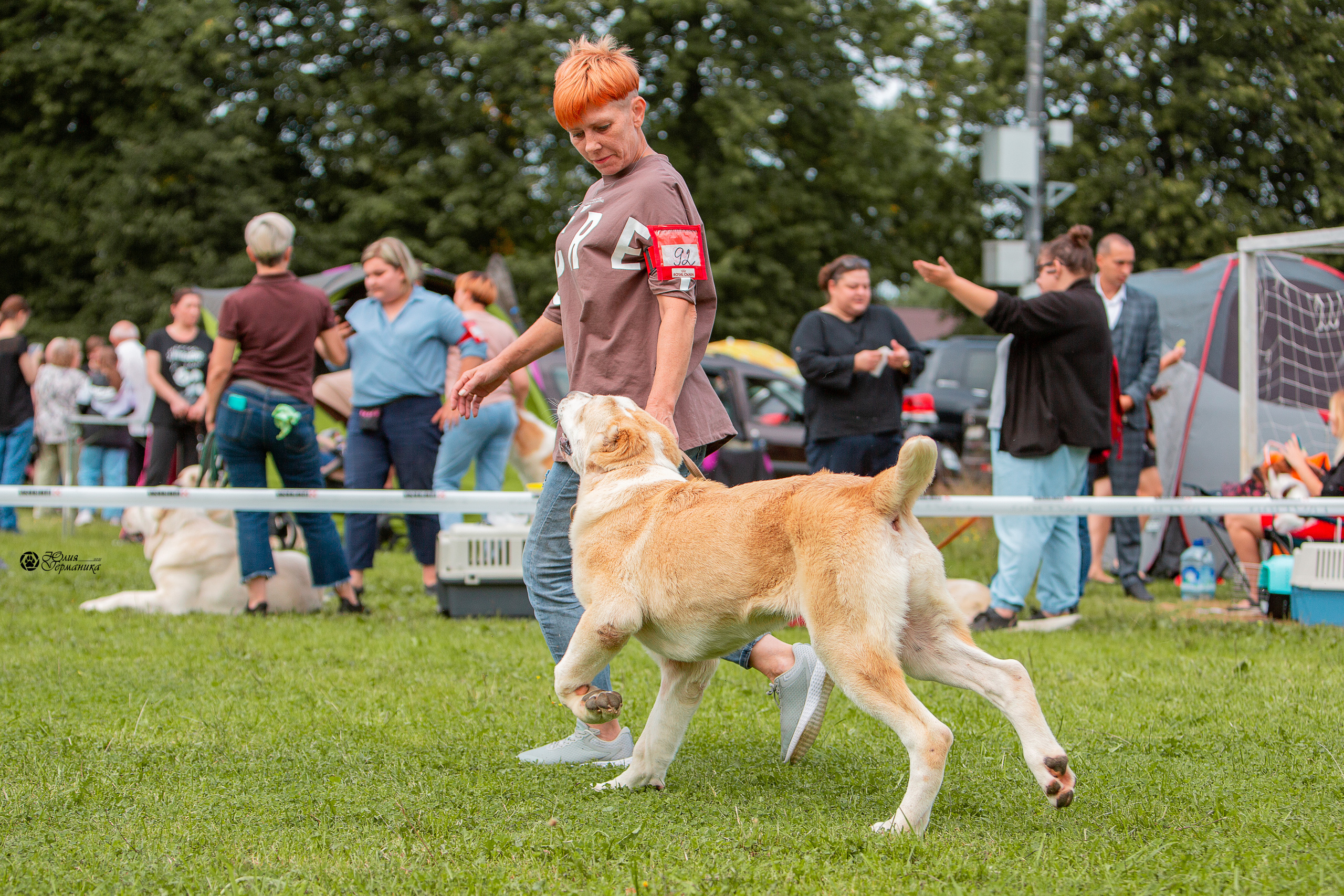Пушкино 3хCAC 21 августа 2021. Фотограф-анималист Юлия Германика