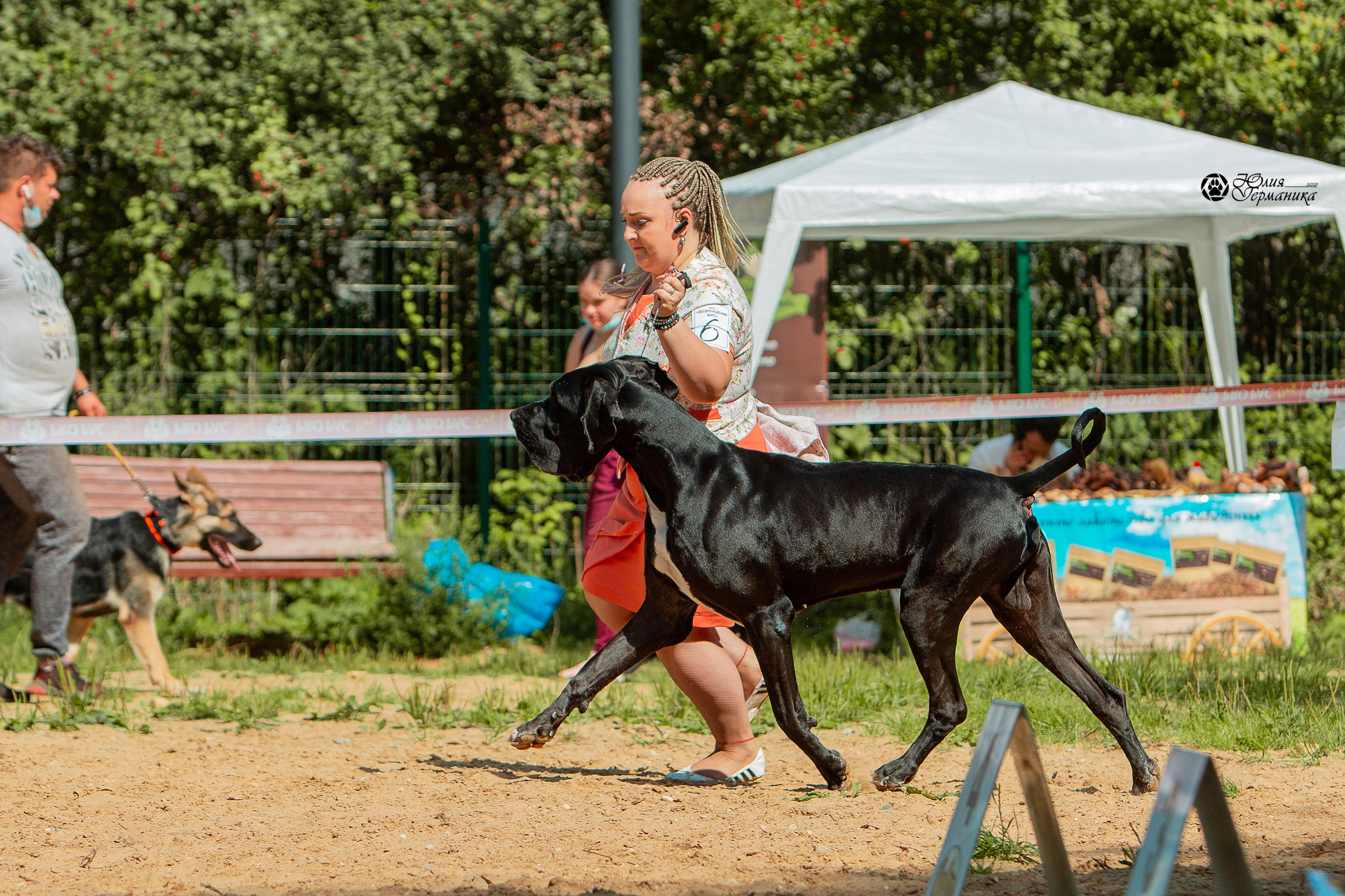 Ховрино фестиваль монопородок 15 августа 2021. Фотограф-анималист Юлия Германика