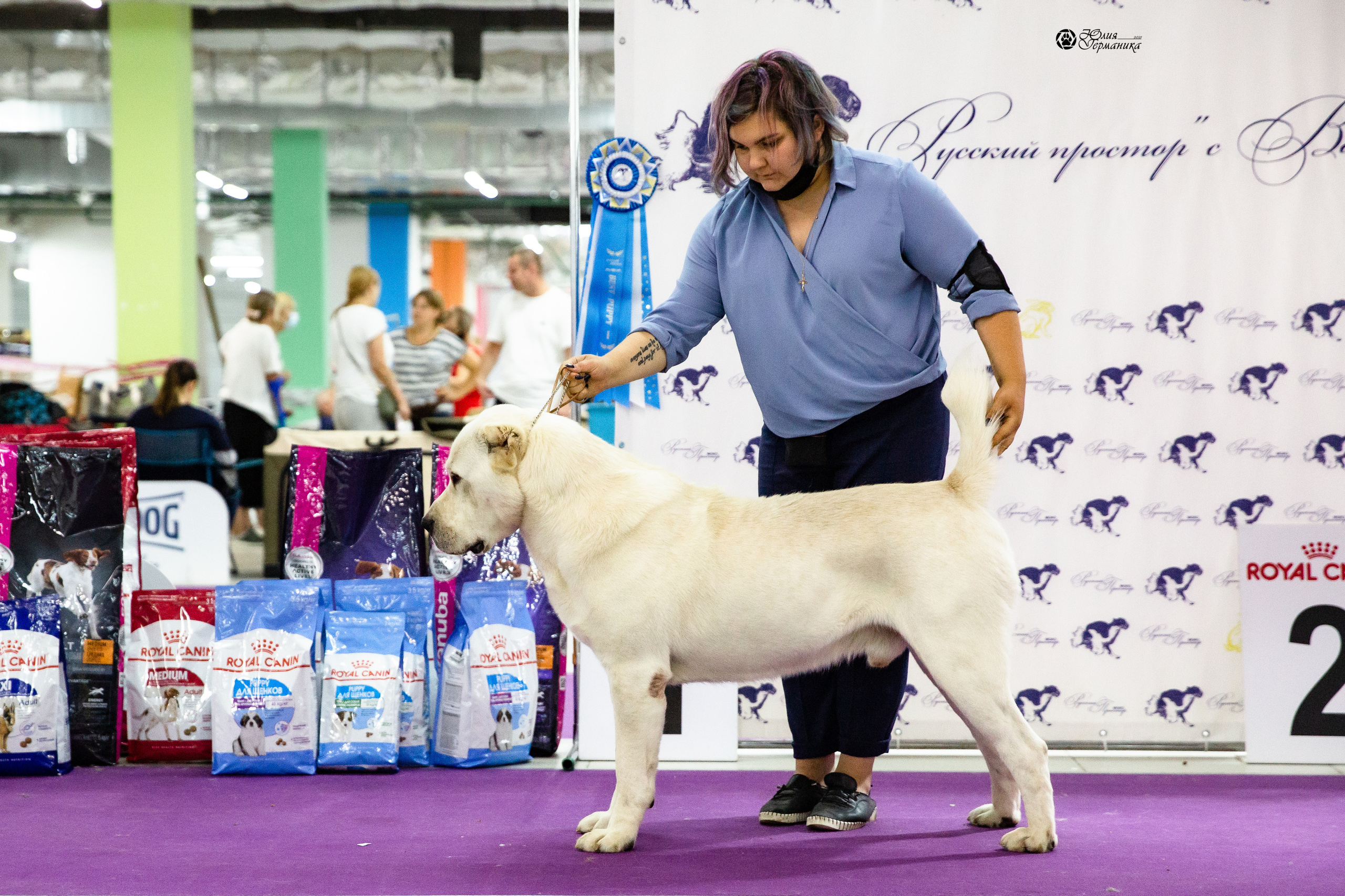 Чайна-Таун 2021. Фотограф-анималист Юлия Германика