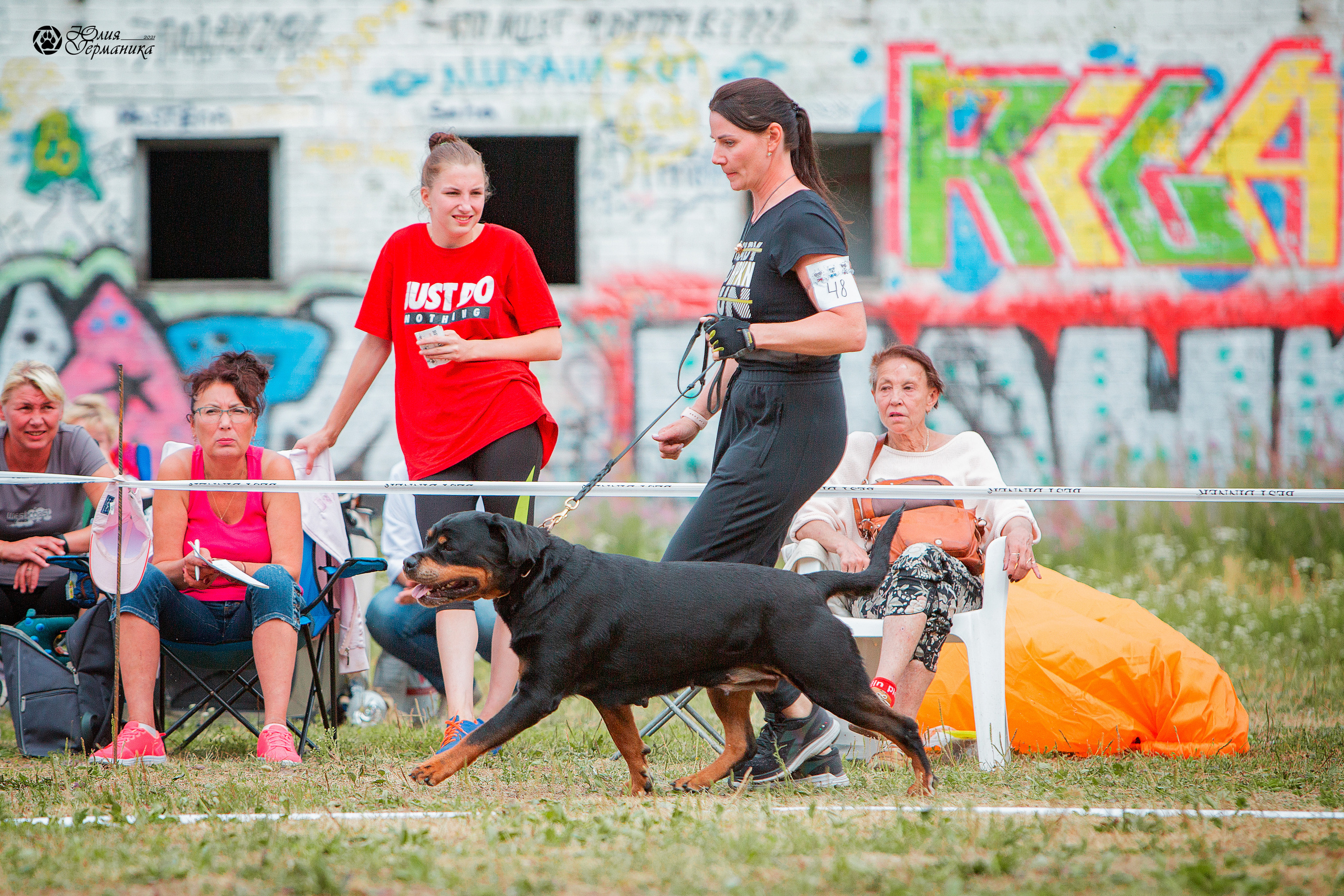 Монопородная выставка ротвейлеров Питер. Фотограф-анималист Юлия Германика