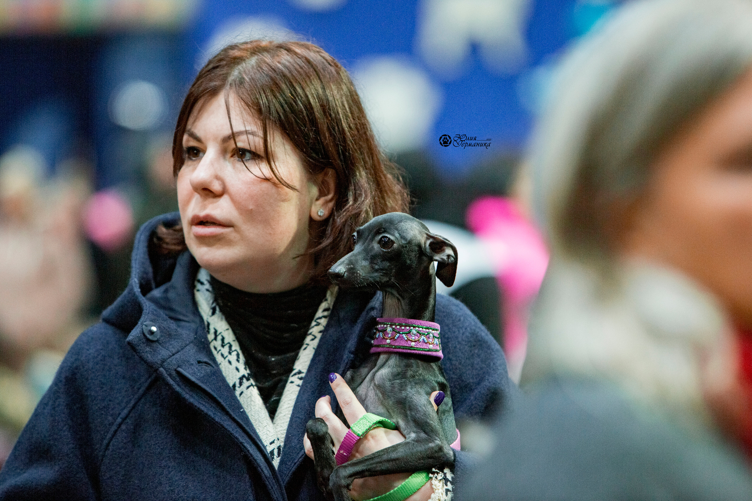 Минск 2хCACIB 27-28 ноября 2021. Фотограф-анималист Юлия Германика