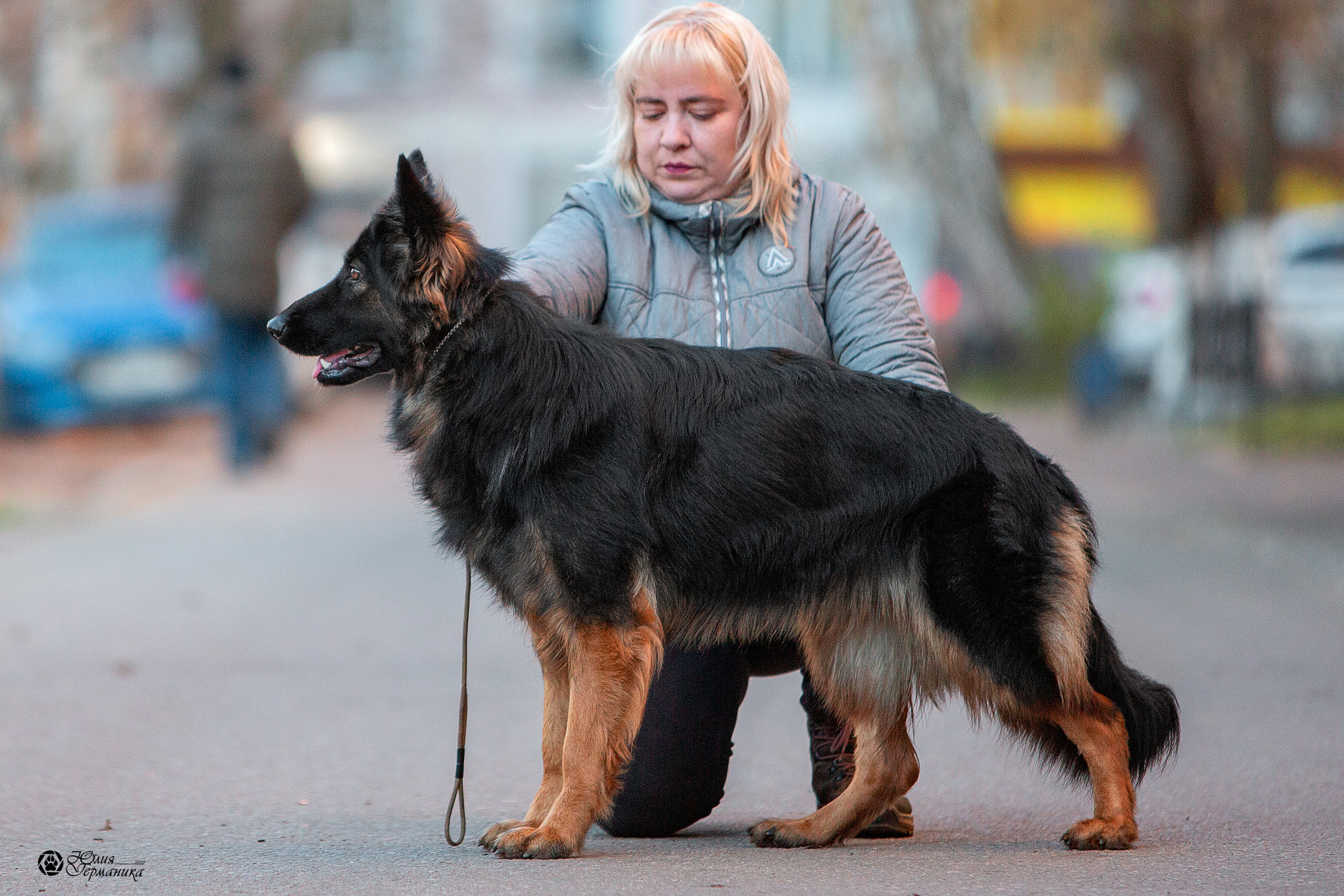 Свободная съемка. Фотограф-анималист Юлия Германика