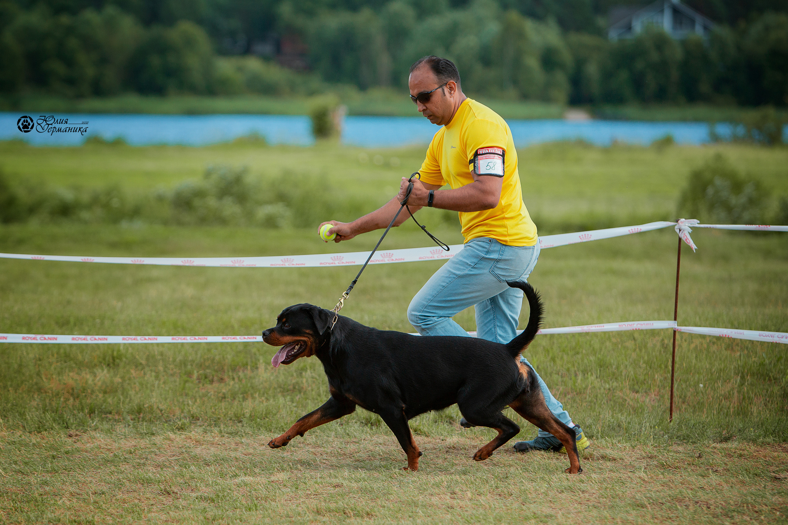 Тверь моно ротвейлеров 3-4 июля 2021. Фотограф-анималист Юлия Германика