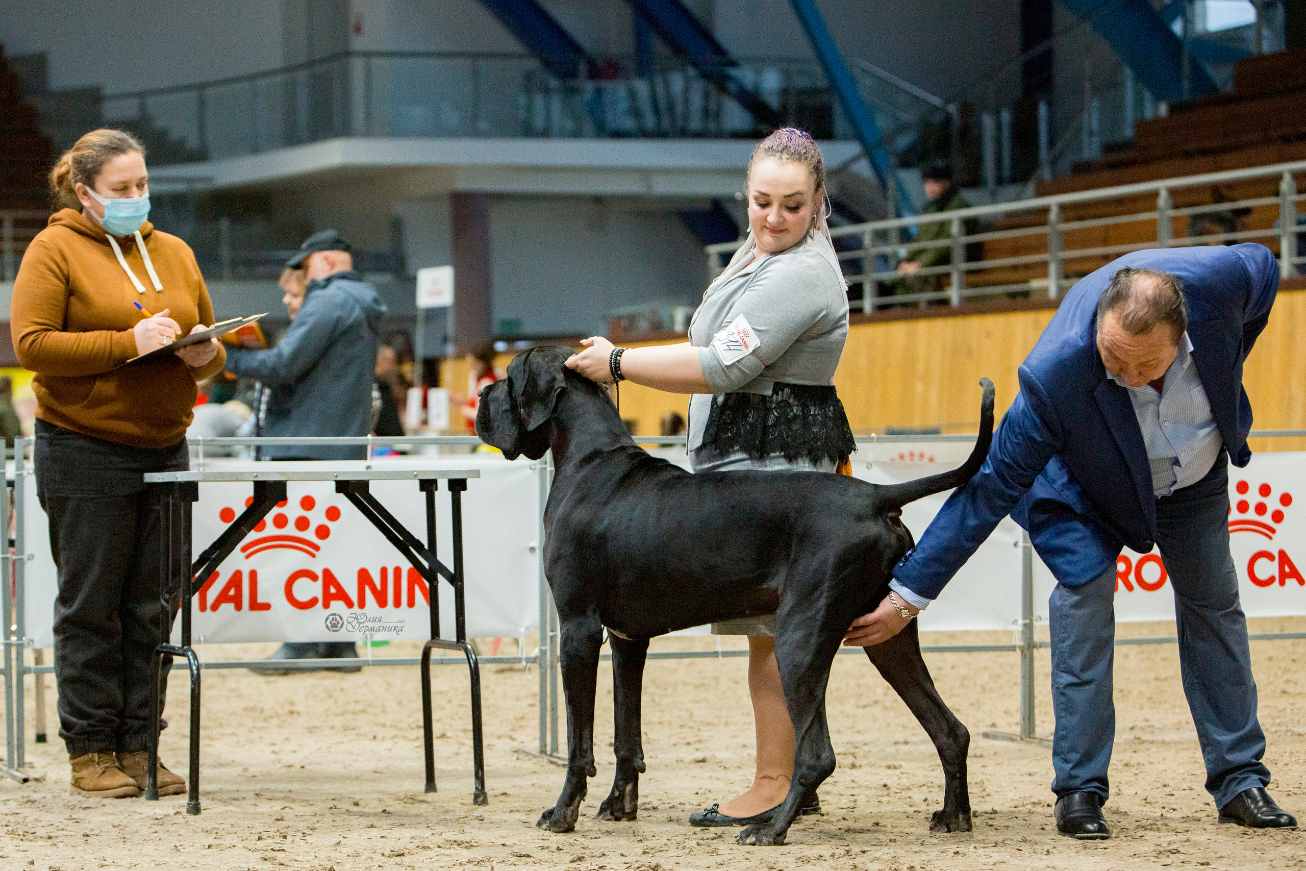 Минск 2хCACIB 27-28 ноября 2021. Фотограф-анималист Юлия Германика