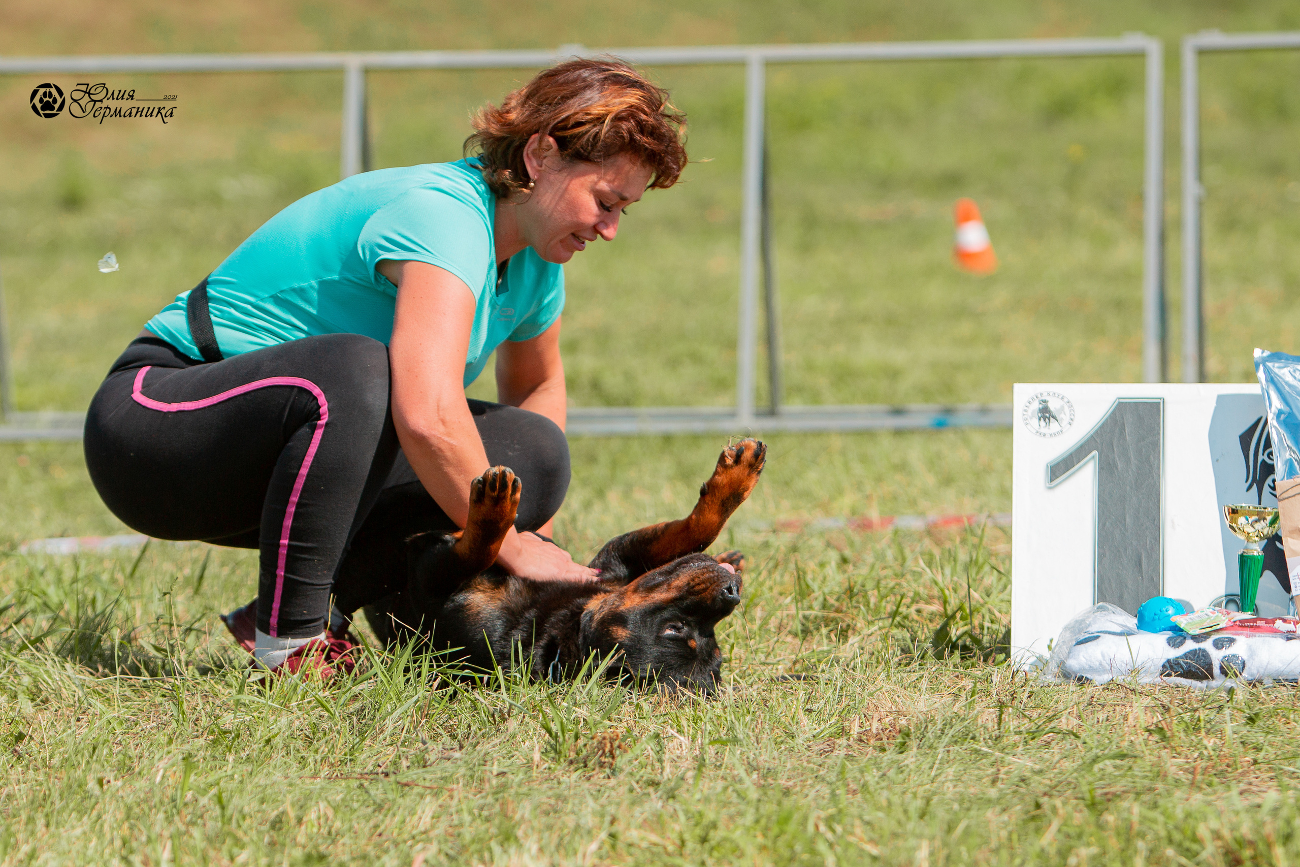 Рязань,Ховрино 14-15 августа 2021 моно ротвейлеров. Фотограф-анималист Юлия Германика