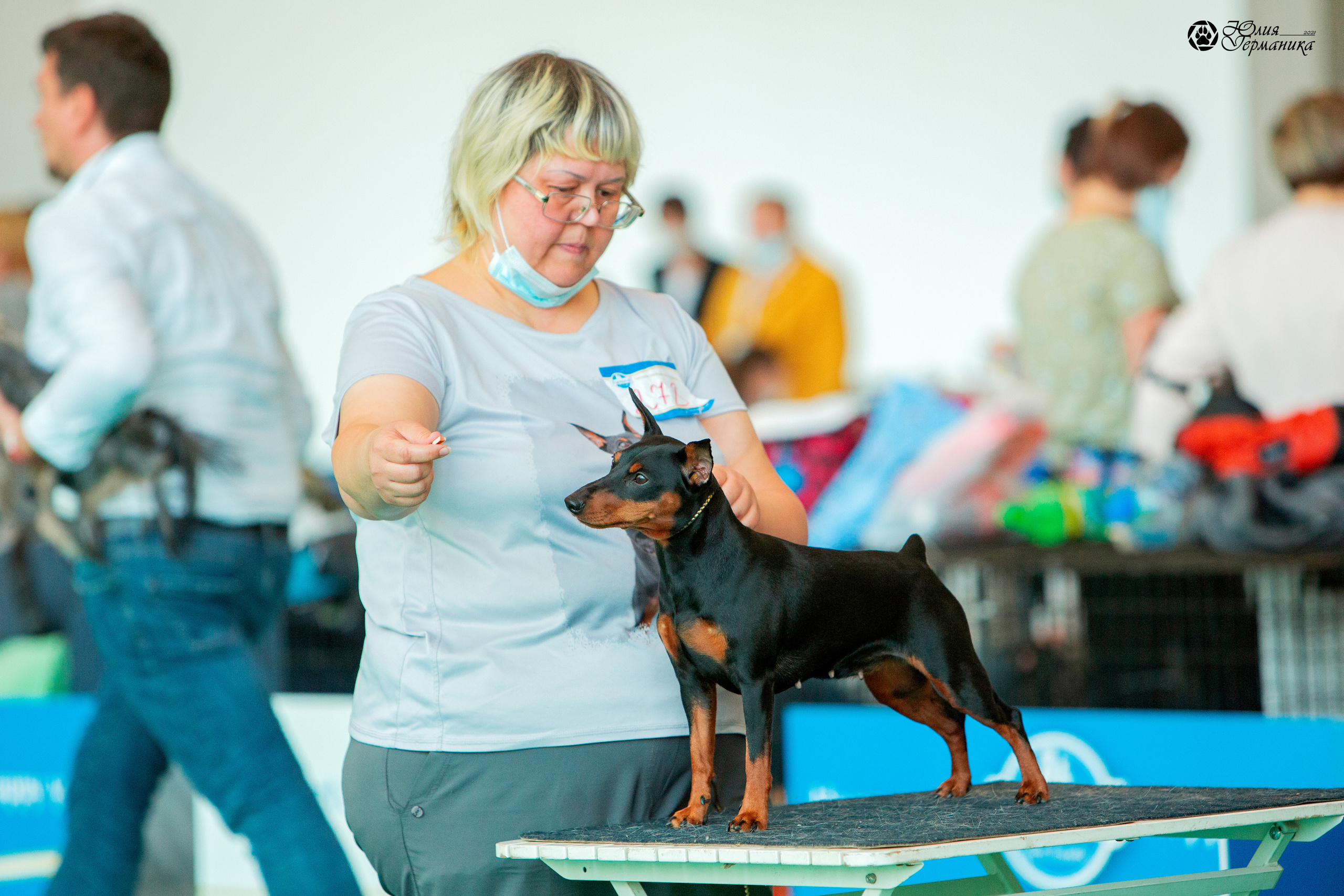 Нижний Новгород 3хCACIB 15-17 октября 2021. Фотограф-анималист Юлия Германика