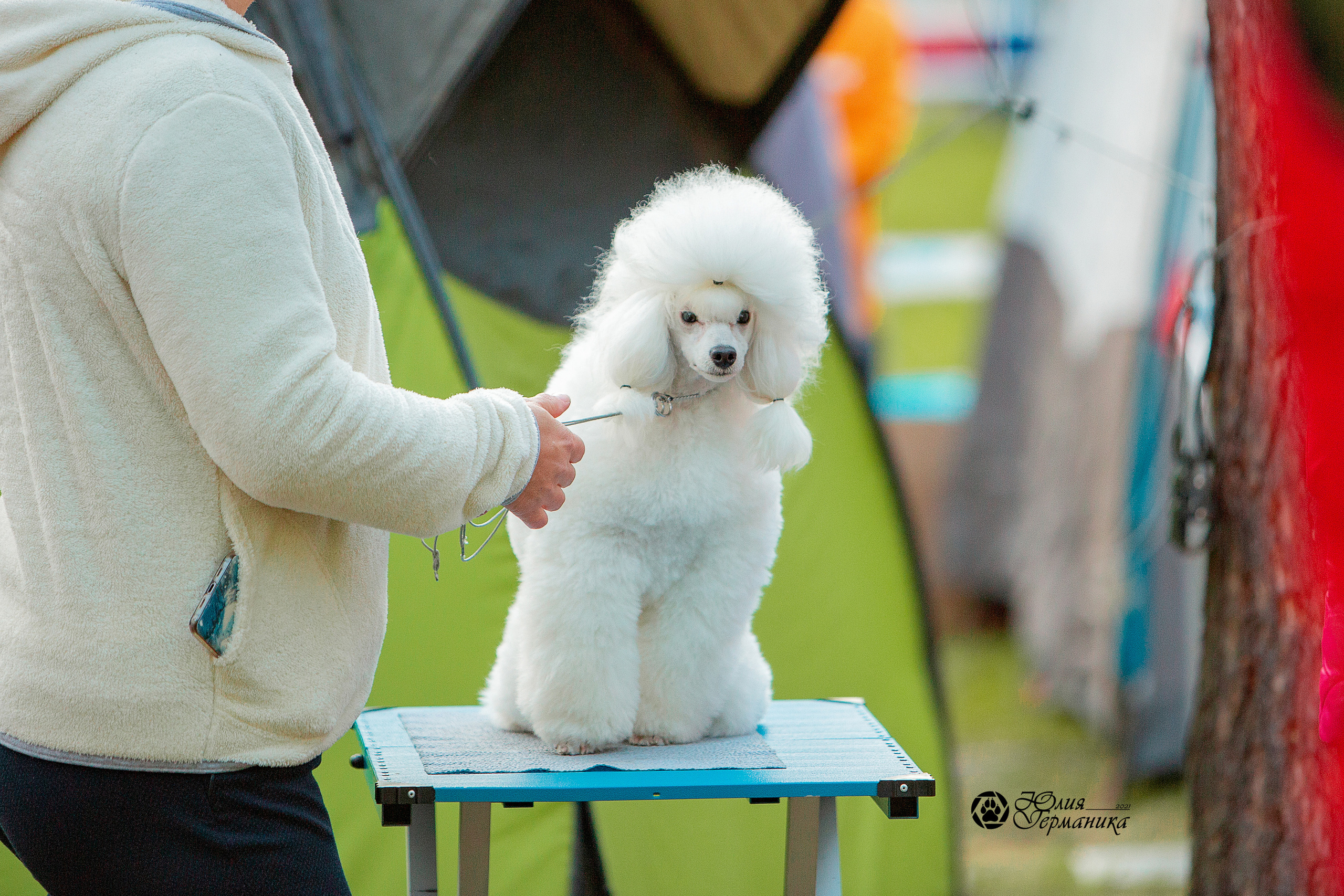 Псков 2xСАСIB 18-19 сентября 2021. Фотограф-анималист Юлия Германика