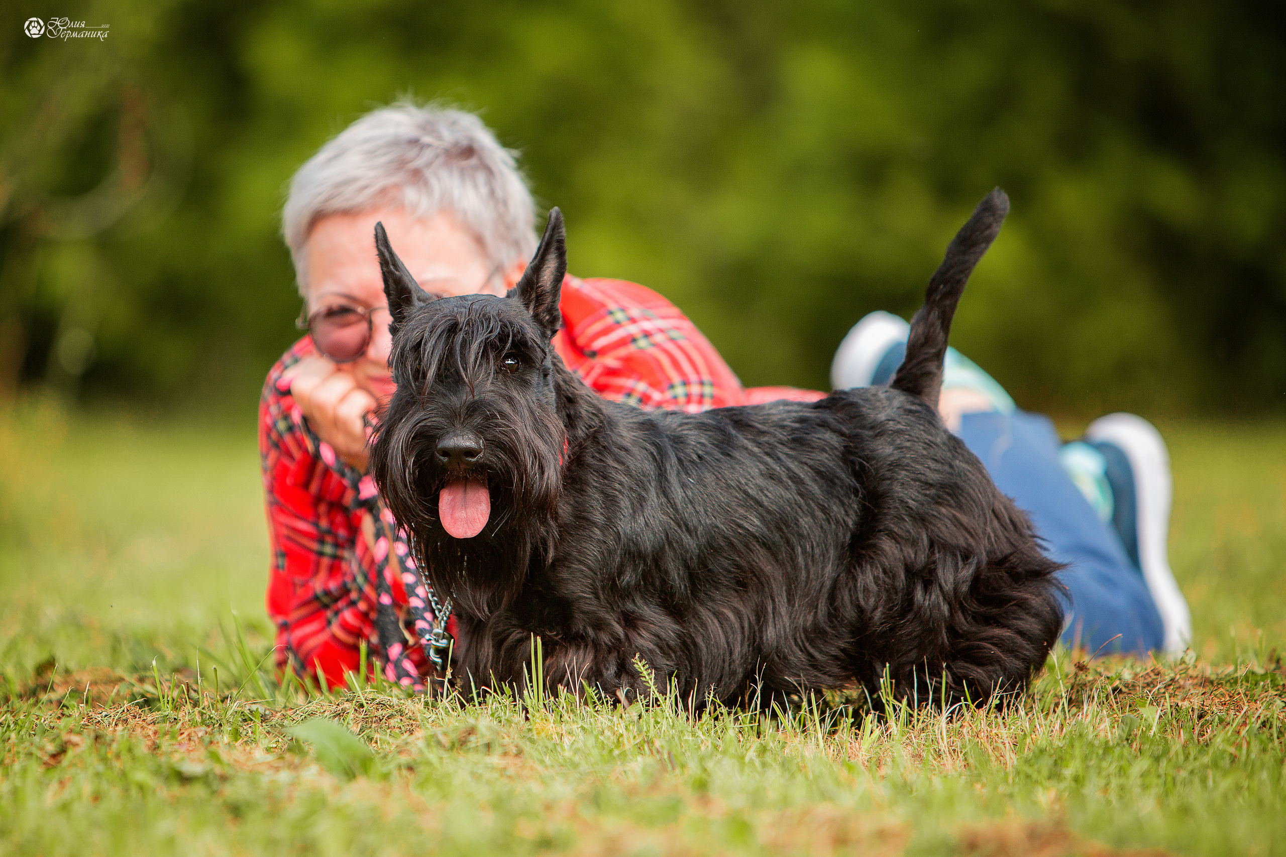 Свободная съемка. Фотограф-анималист Юлия Германика