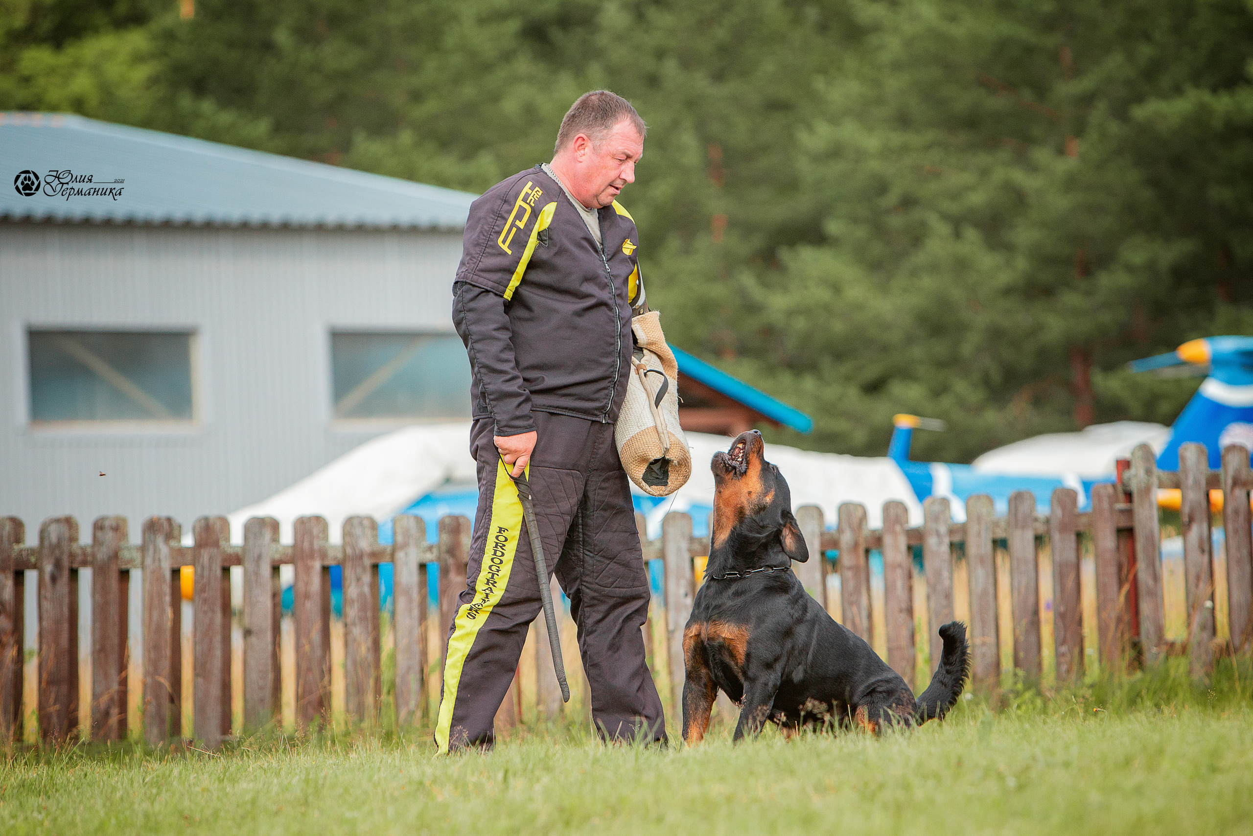 Тверь моно ротвейлеров 3-4 июля 2021. Фотограф-анималист Юлия Германика