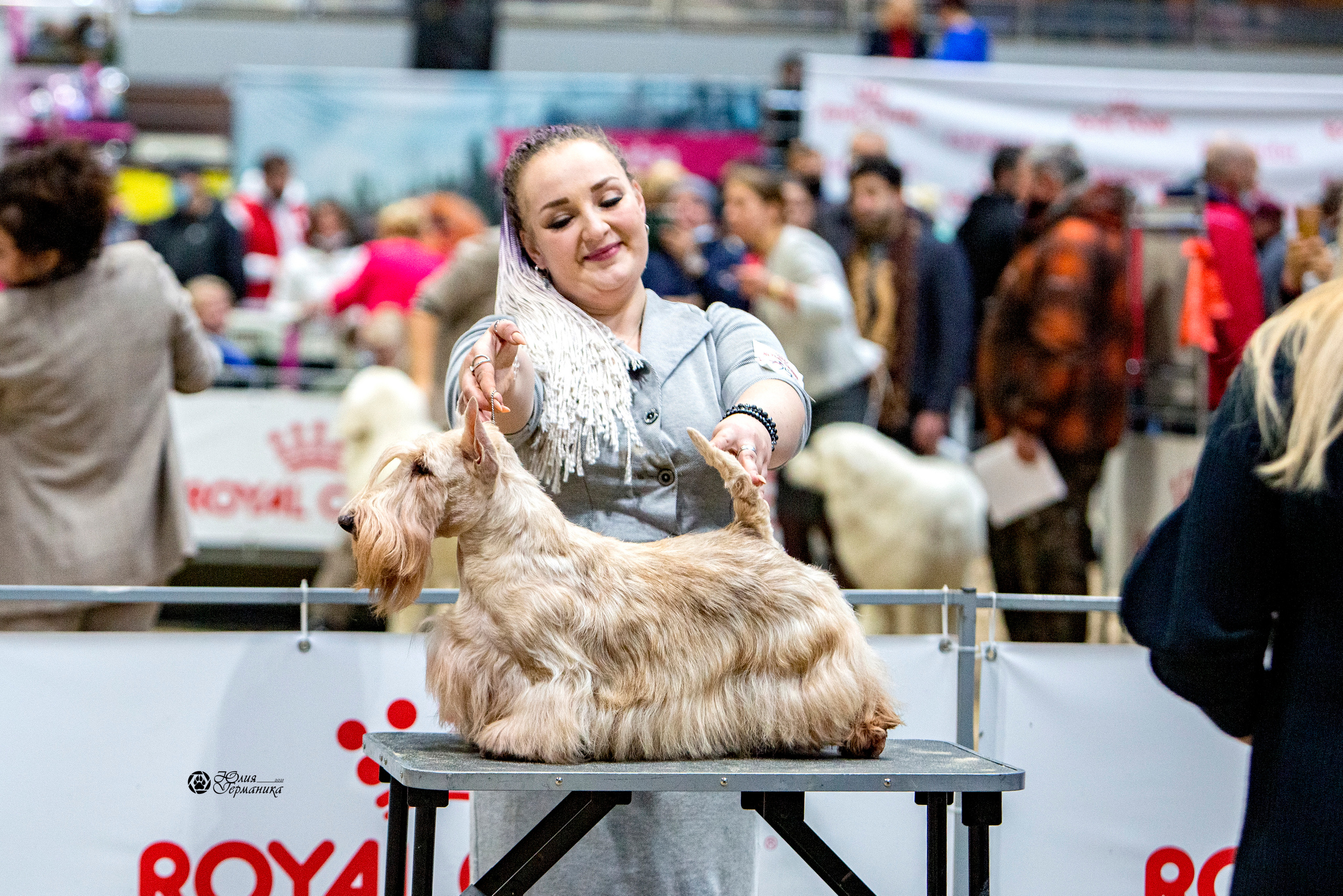 Минск 2хCACIB 27-28 ноября 2021. Фотограф-анималист Юлия Германика