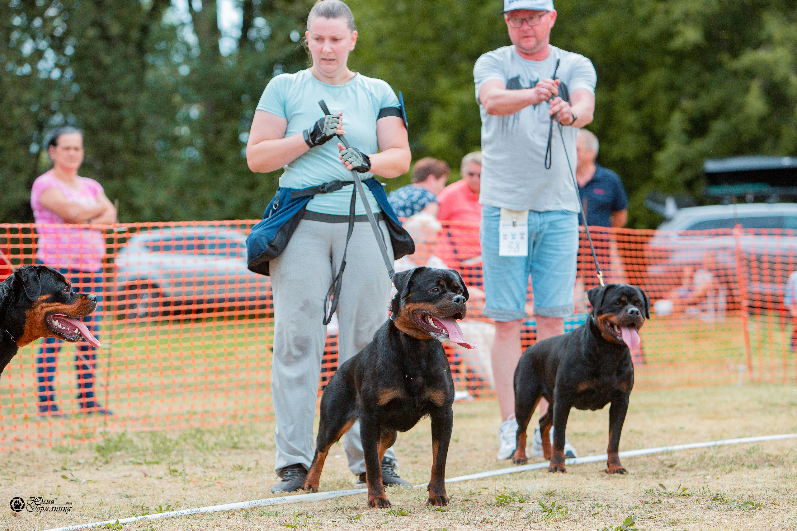 Монопородные выставки. Фотограф-анималист Юлия Германика