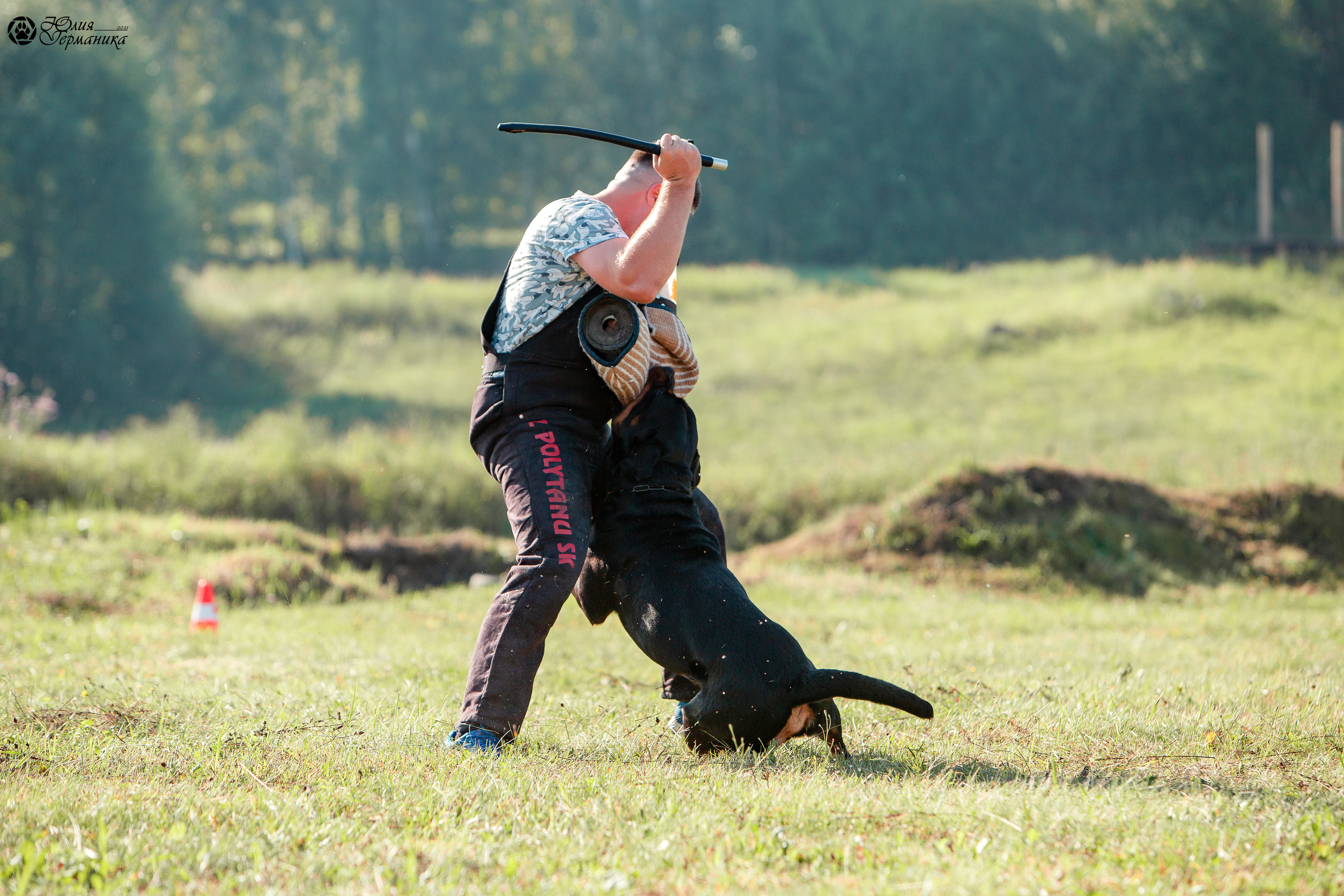 Рязань,Ховрино 14-15 августа 2021 моно ротвейлеров. Фотограф-анималист Юлия Германика