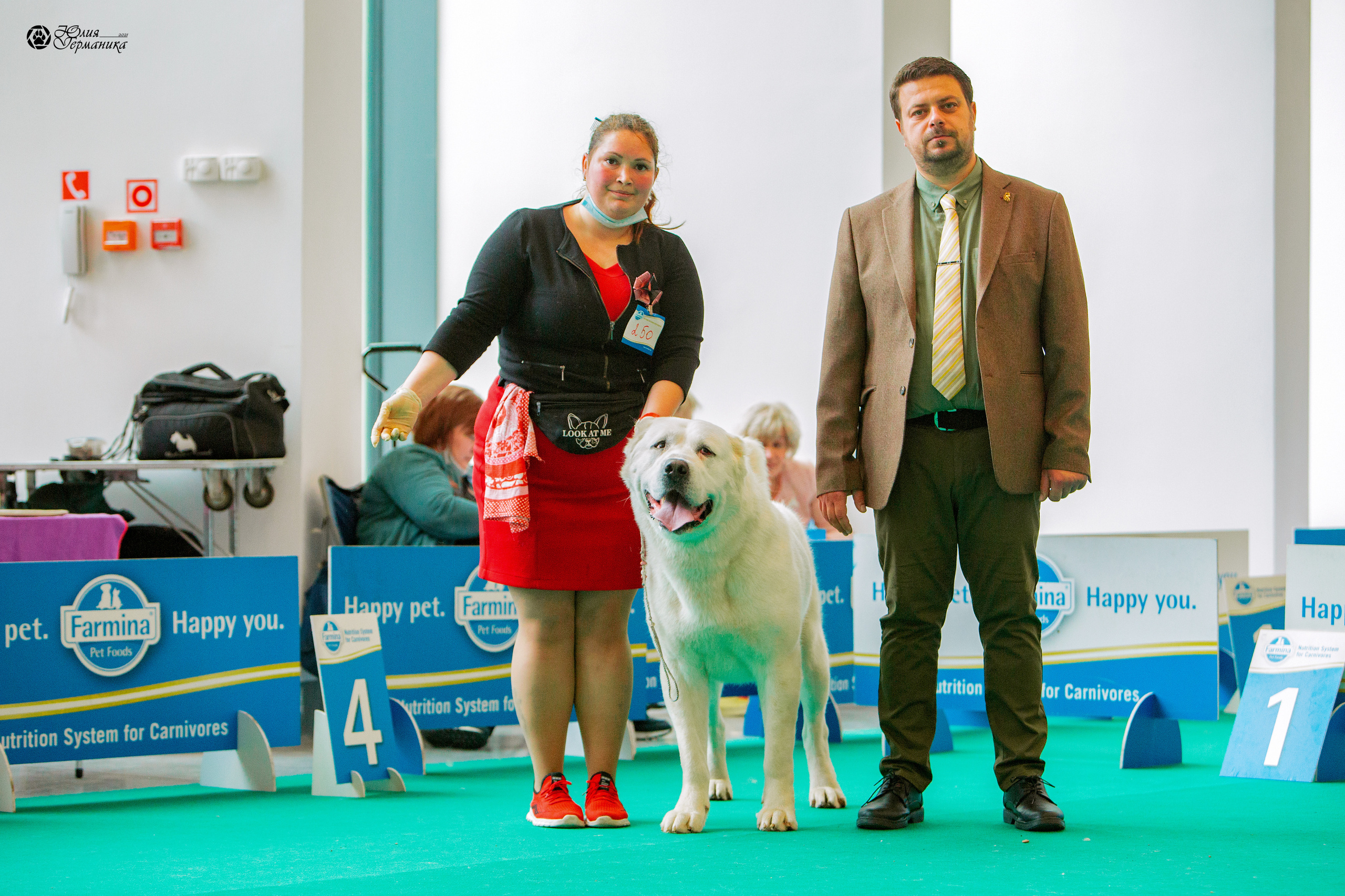 Нижний Новгород 3хCACIB 15-17 октября 2021. Фотограф-анималист Юлия Германика