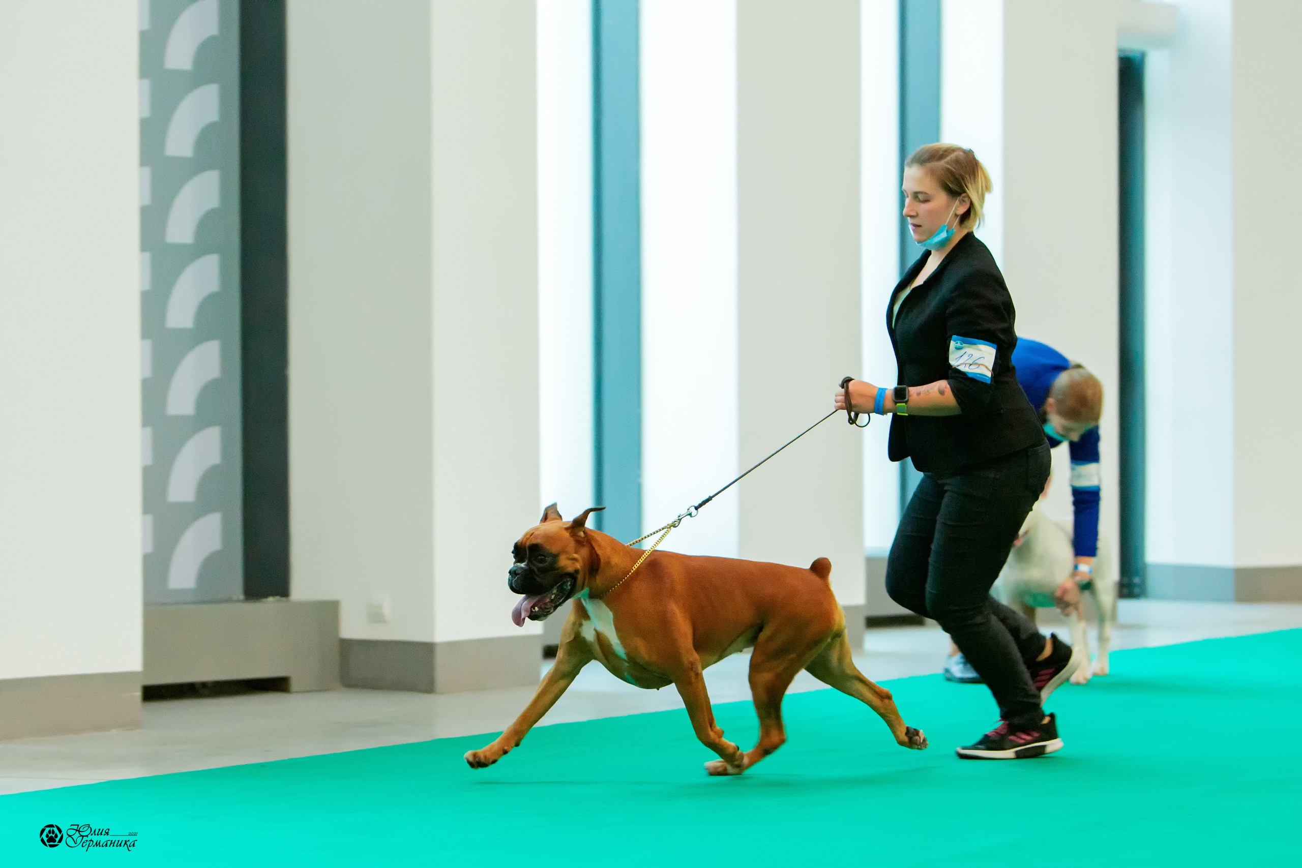Нижний Новгород 3хCACIB 15-17 октября 2021. Фотограф-анималист Юлия Германика
