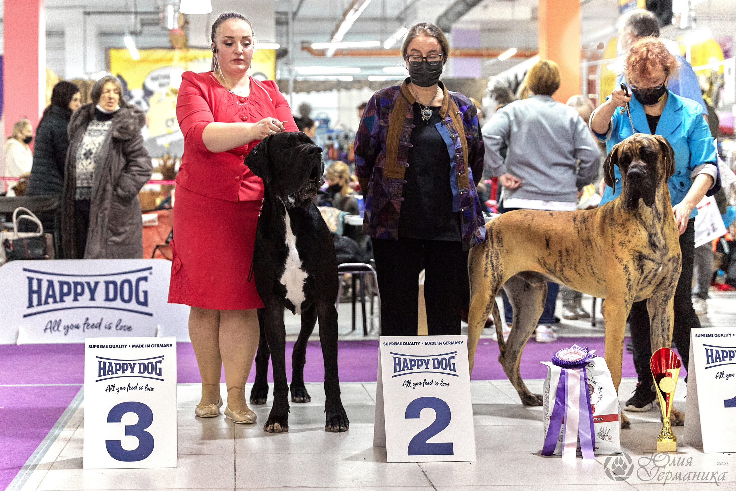 Чайник  13-14 ноября 2021. Фотограф-анималист Юлия Германика