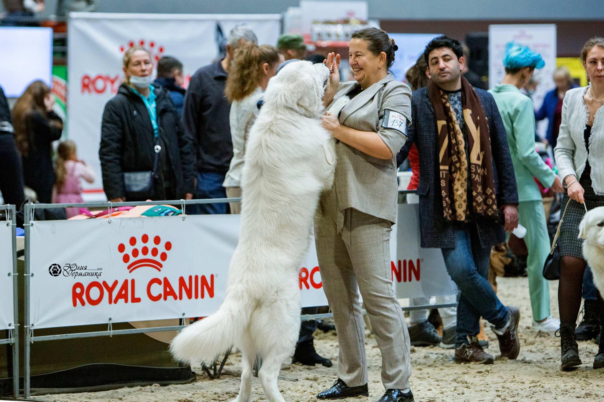 Минск 2хCACIB 27-28 ноября 2021. Фотограф-анималист Юлия Германика