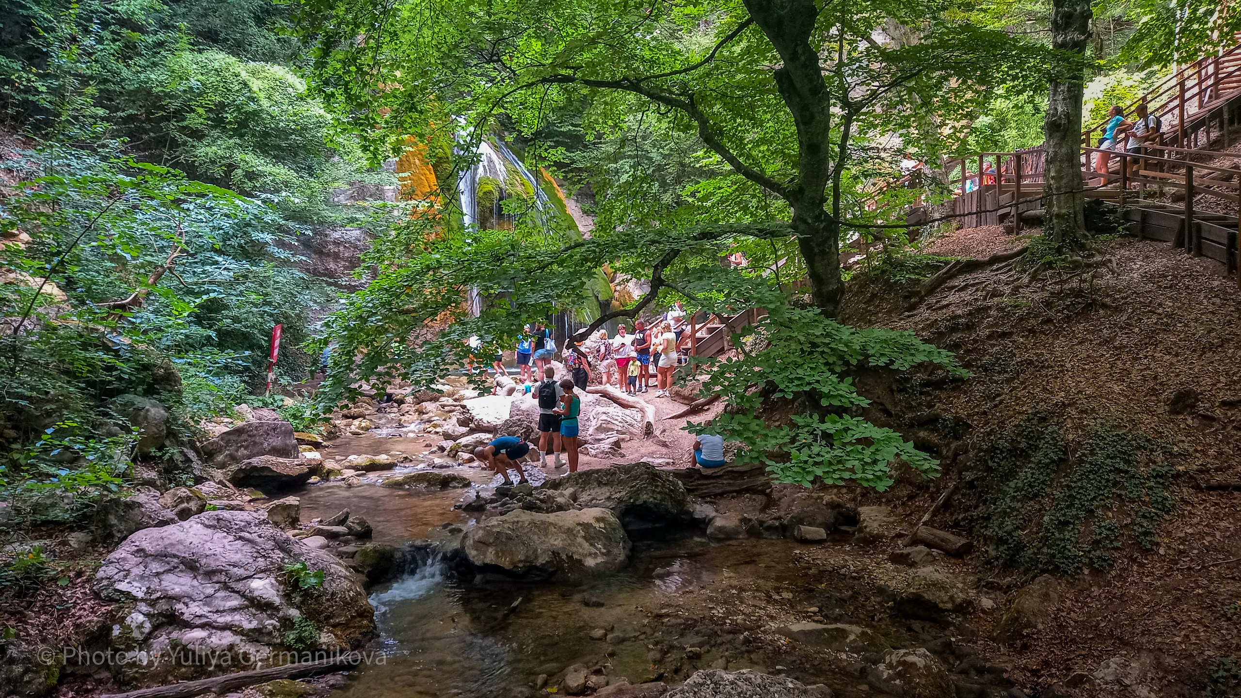 Разные фото на телефон.Города,природа. Фотограф-анималист Юлия Германика