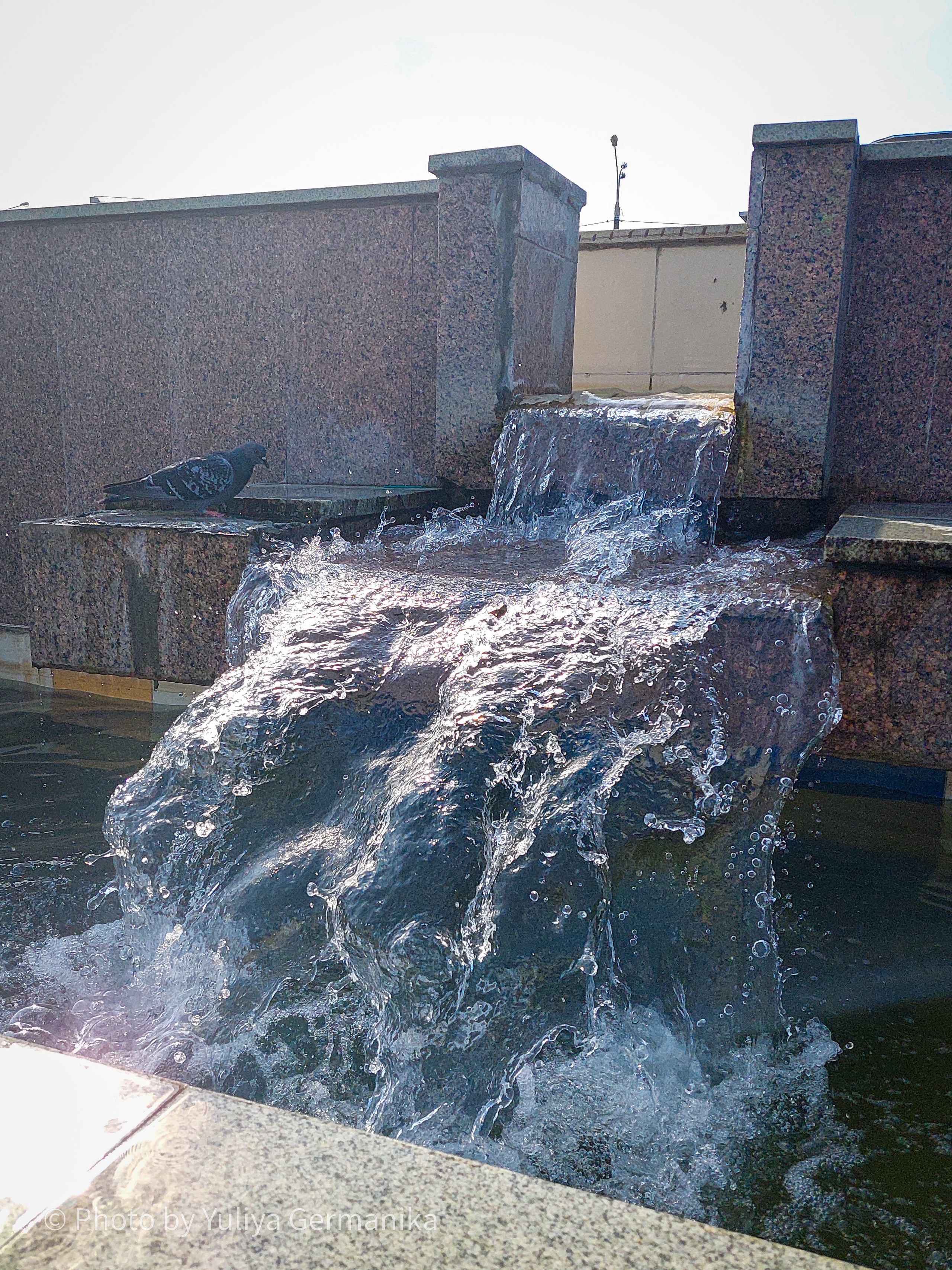 Разные фото на телефон.Города,природа. Фотограф-анималист Юлия Германика