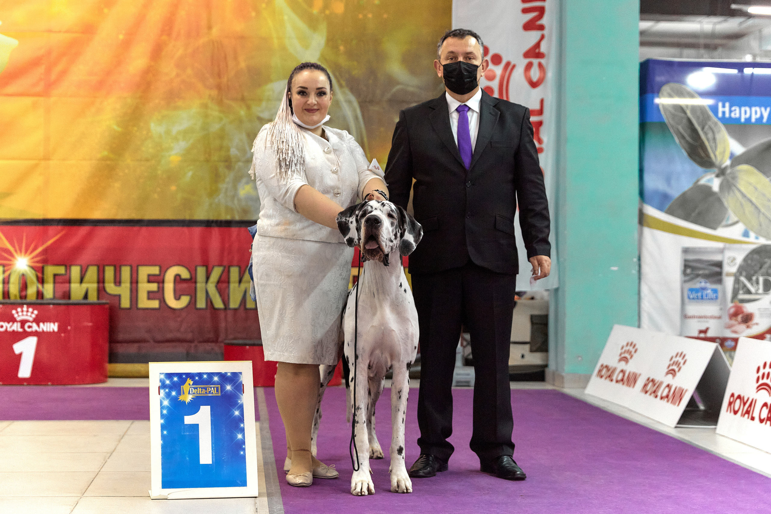 Чайник  13-14 ноября 2021. Фотограф-анималист Юлия Германика