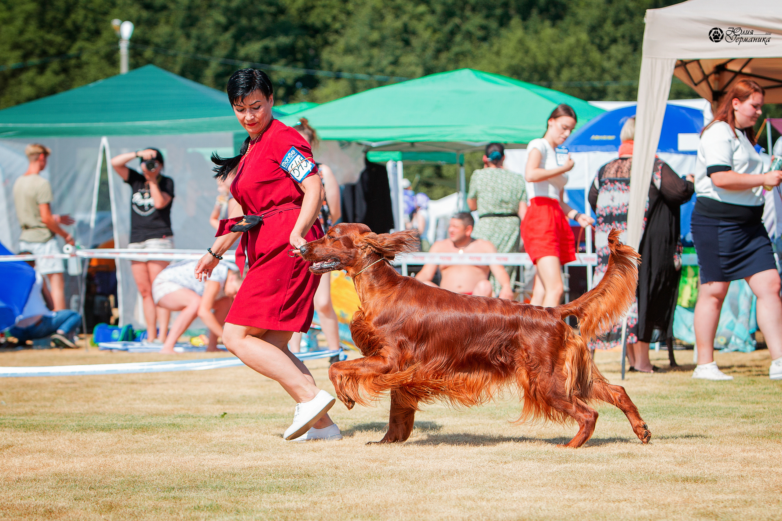 Ярославль CACIB 18 июля 2021. Фотограф-анималист Юлия Германика